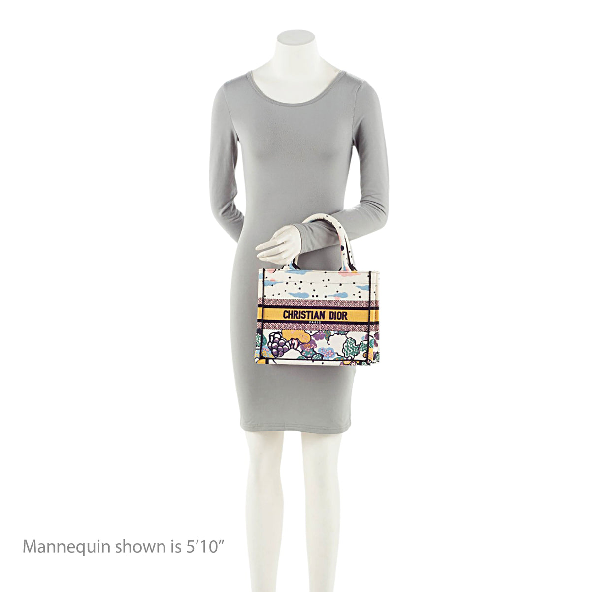 Dior Embroidered Canvas Small Book Tote