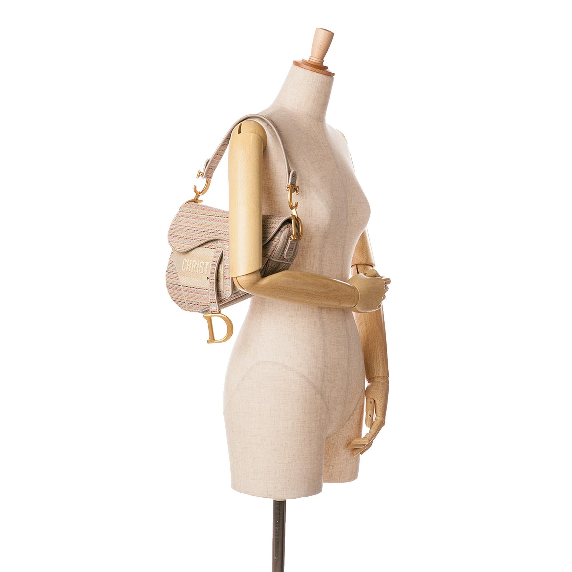 Dior Embroidered Canvas Stripes Saddle Bag