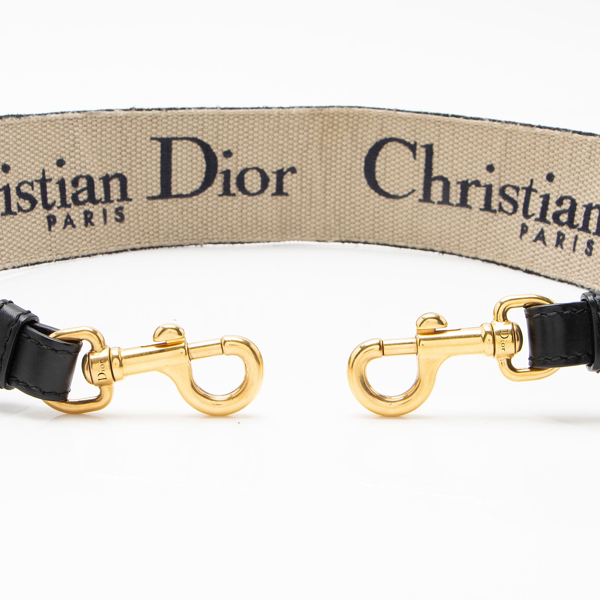 Dior Embroidered Shoulder Strap