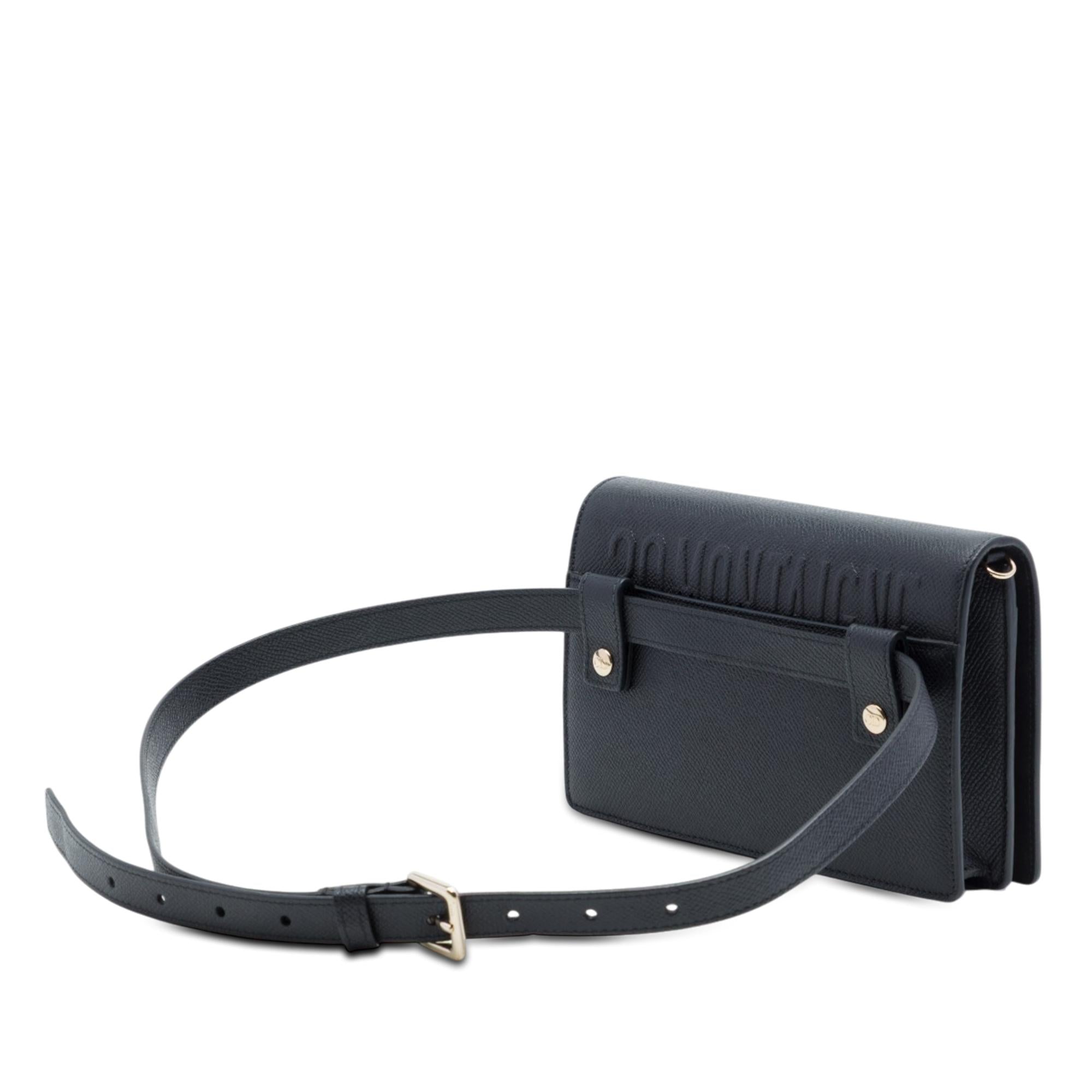Dior Grained Calfskin 30 Montaigne 2 in 1 Pouch