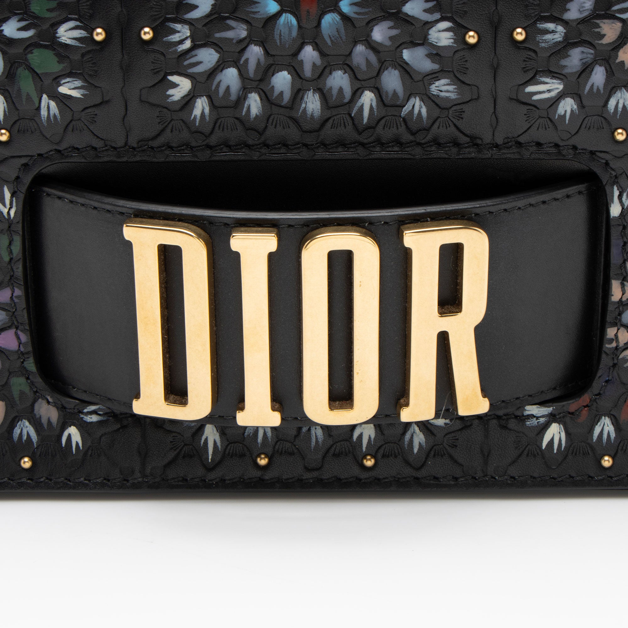 Dior Grained Calfskin Studded Floral Dio(r)evolution Flap Bag (SHF-yW1Jb4)