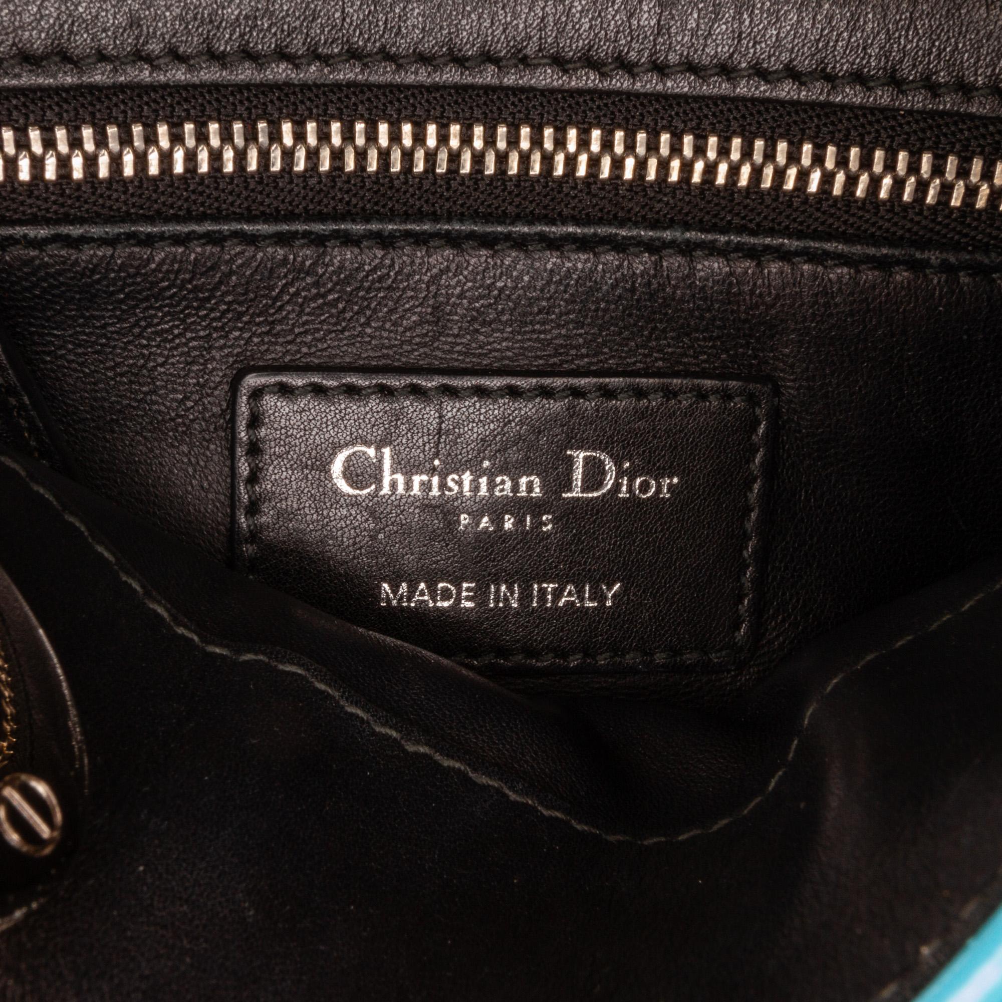 Dior Lady Dior Flower Embroidered Bag (SHG-CjtZbT)