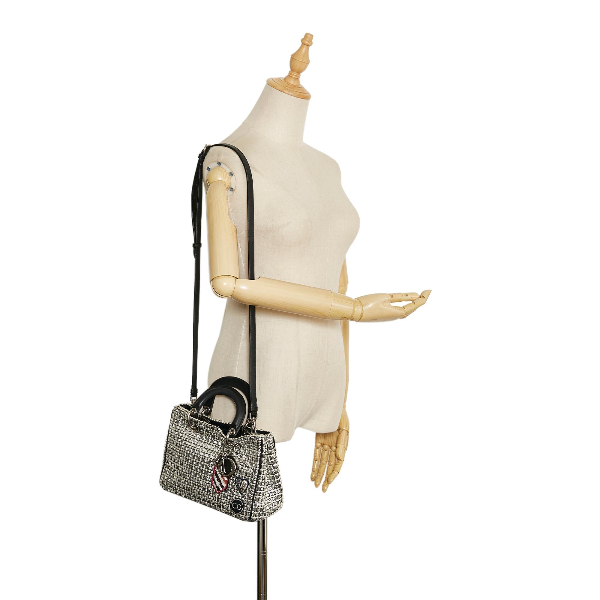 Dior Lady Dior Satchel (SHG-xfc2Ns)