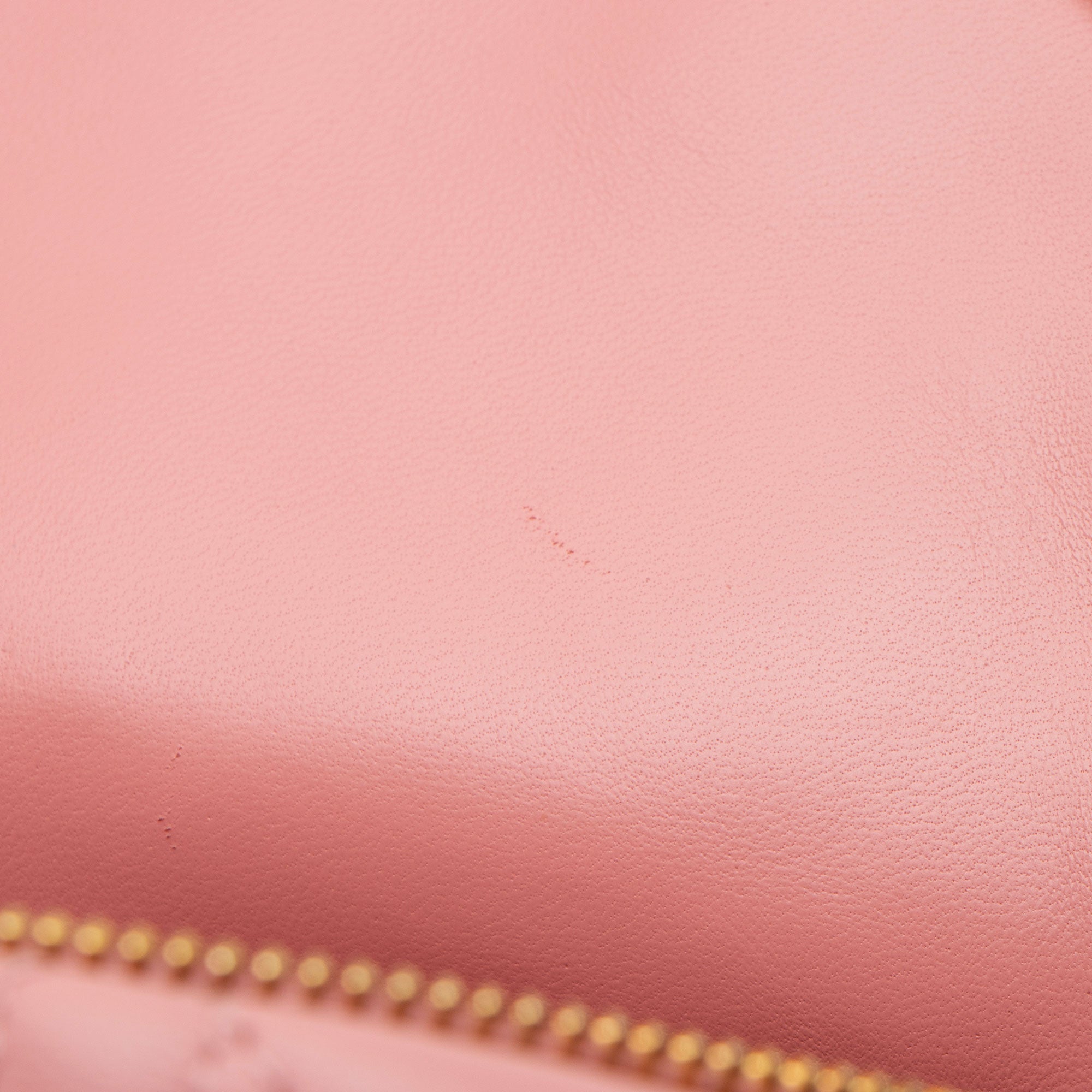 Dior Lambskin Mini Backpack