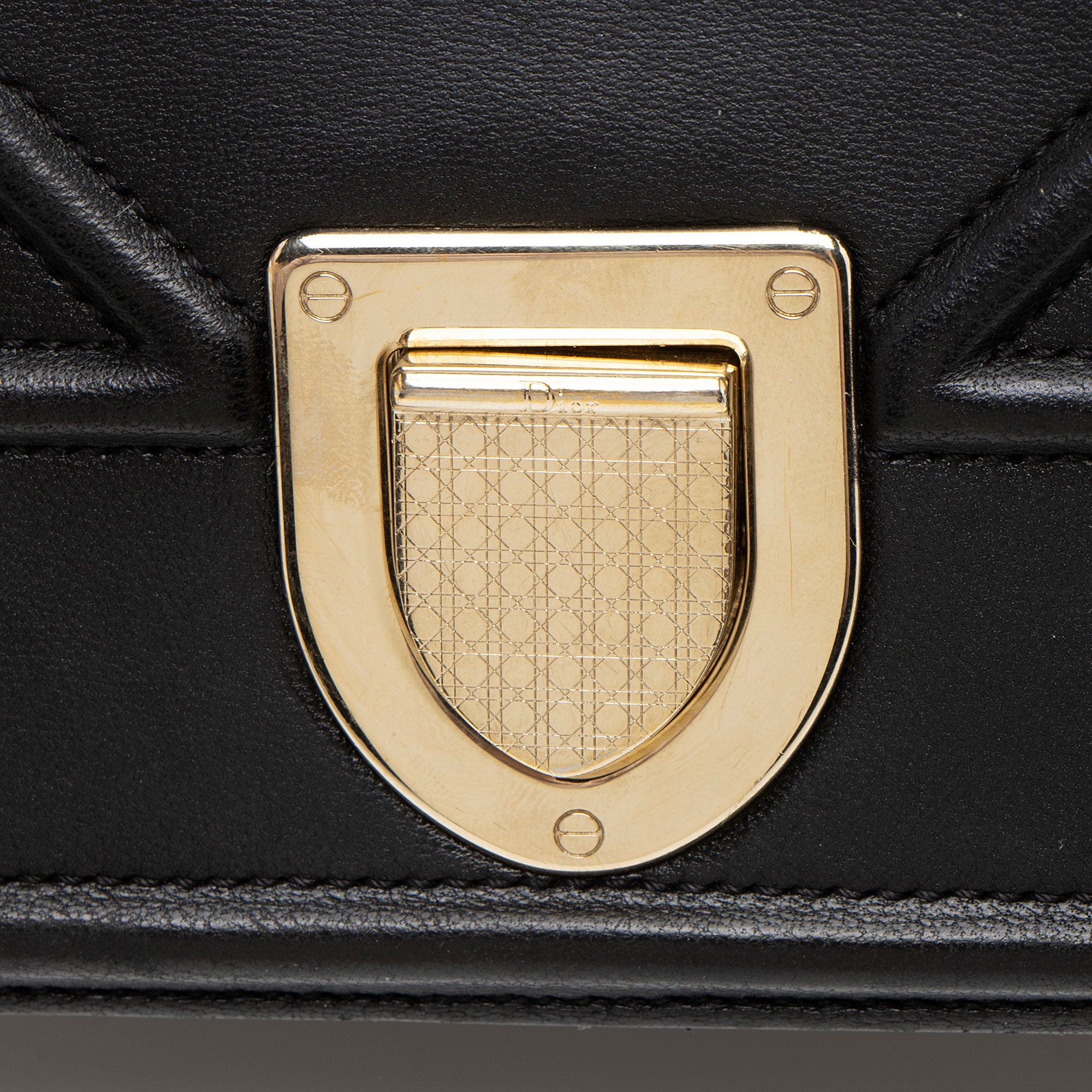 Dior Lambskin Diorama Medium Shoulder Bag
