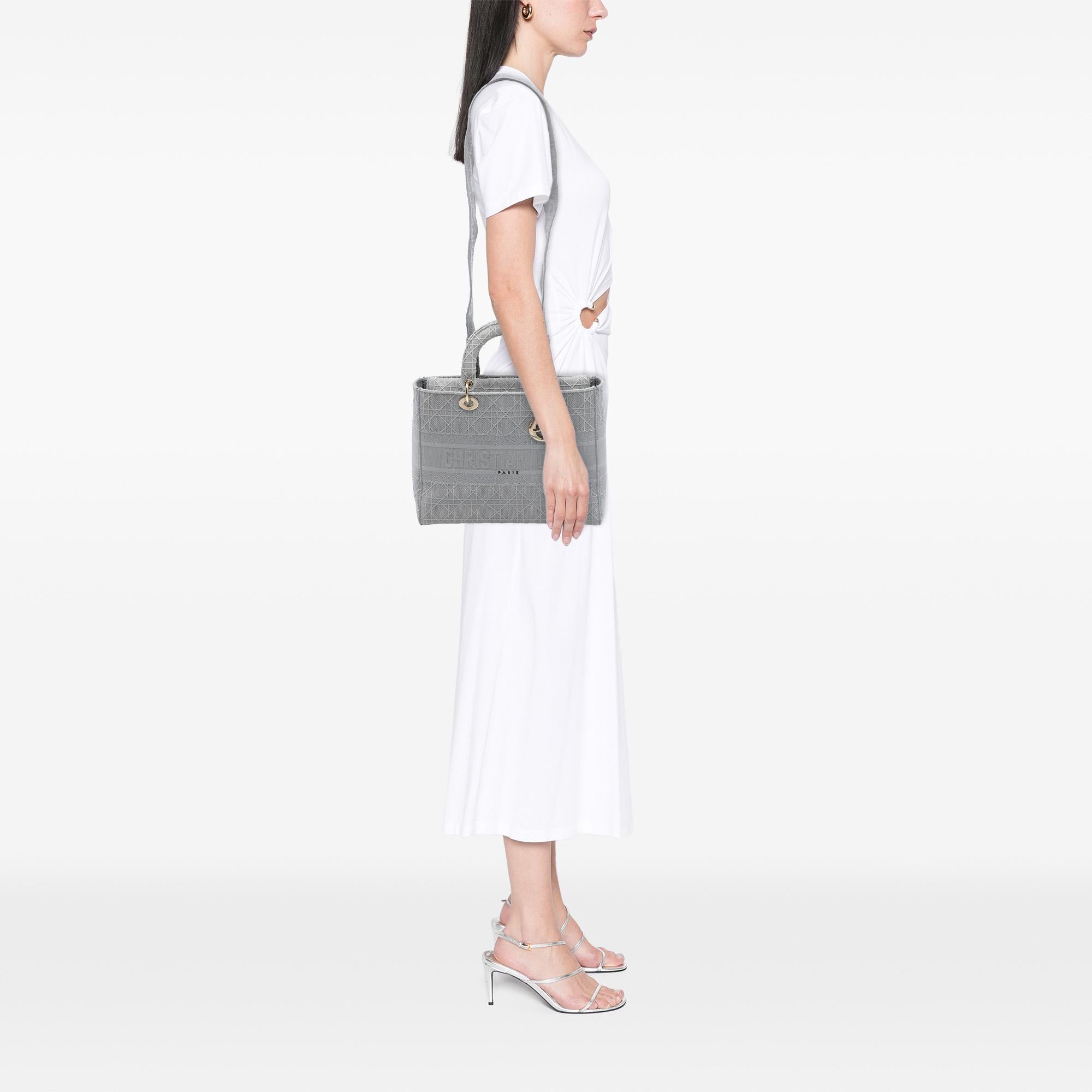 Dior Large Embroidered Canvas Cannage Lady D Lite