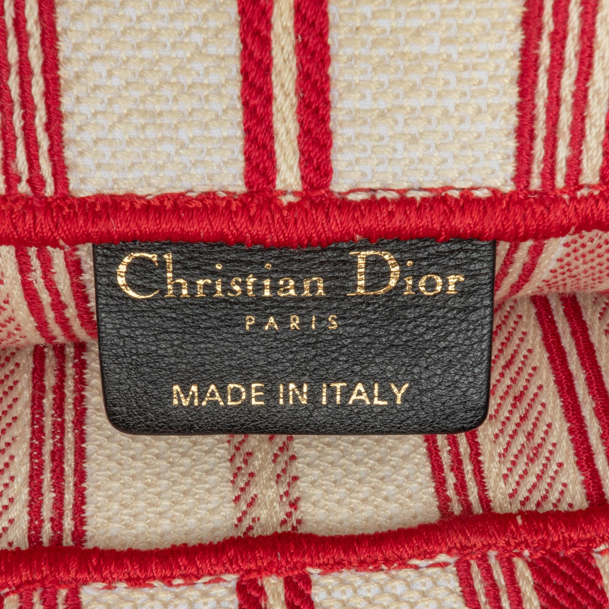 Dior Large Striped Book Tote
