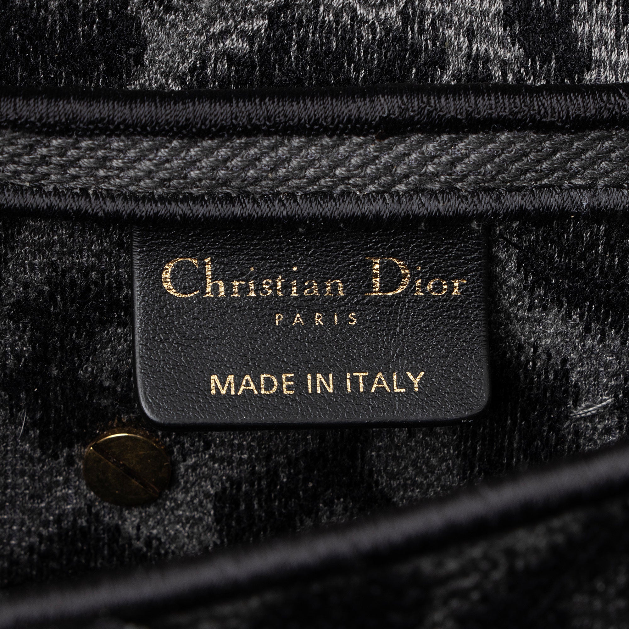 Dior Leopard Canvas Medium Saddle Bag