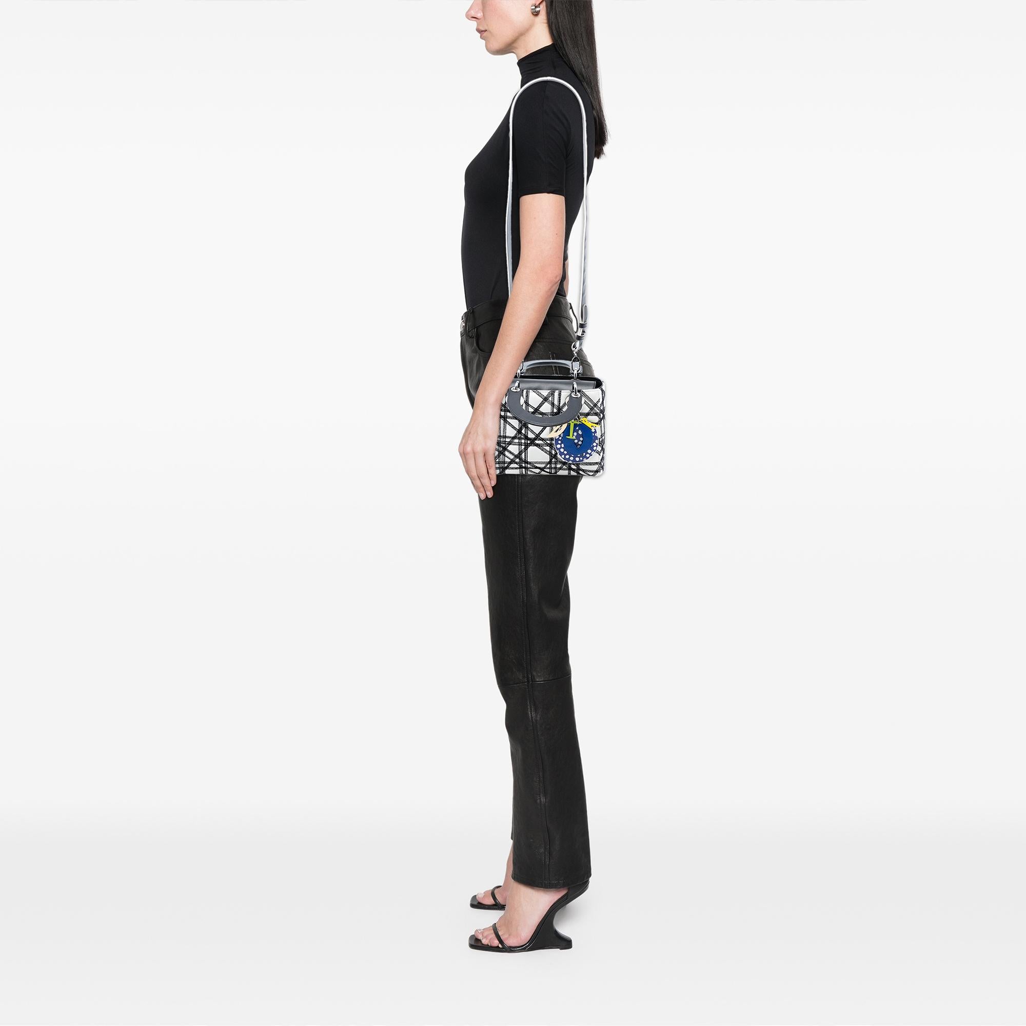 Dior Limited Edition Daniel Gordon Art Small Lambskin Cannage Lady Dior