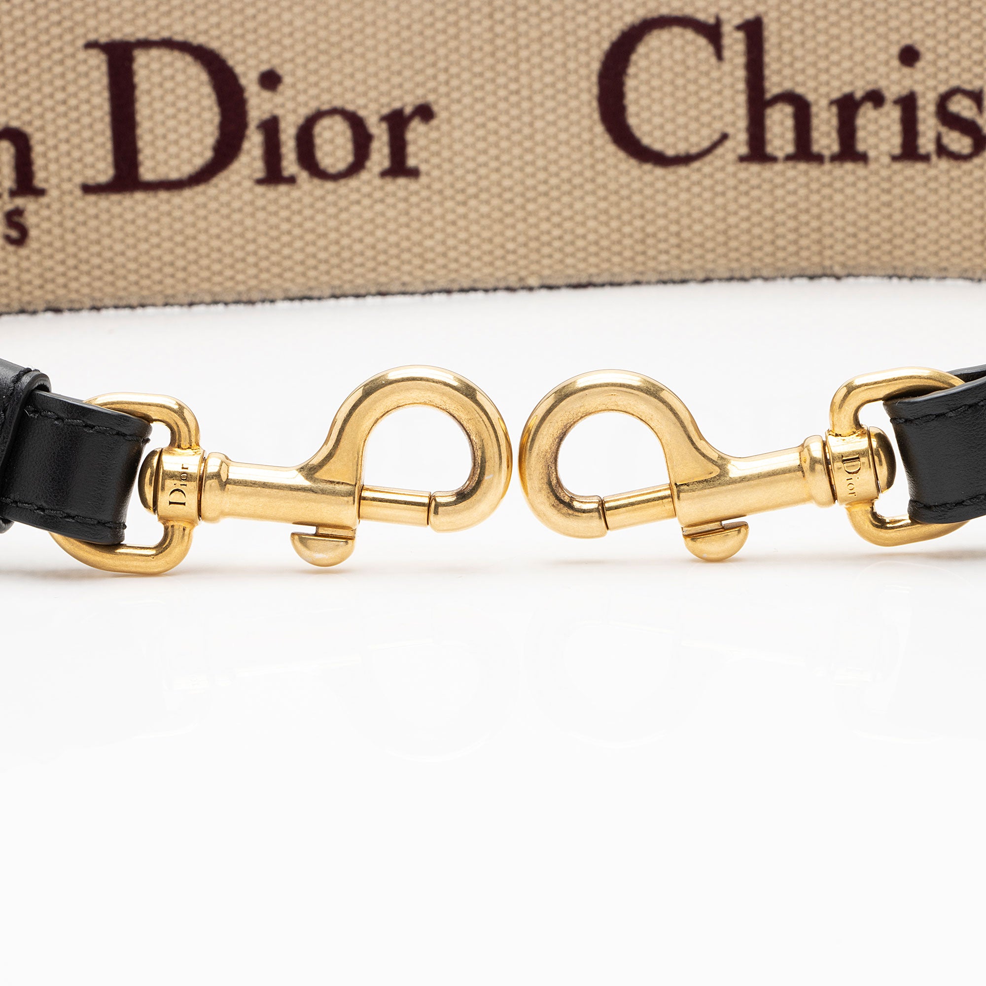 Dior Embroidered Oblique Shoulder Strap (SHF-YXIyyd)