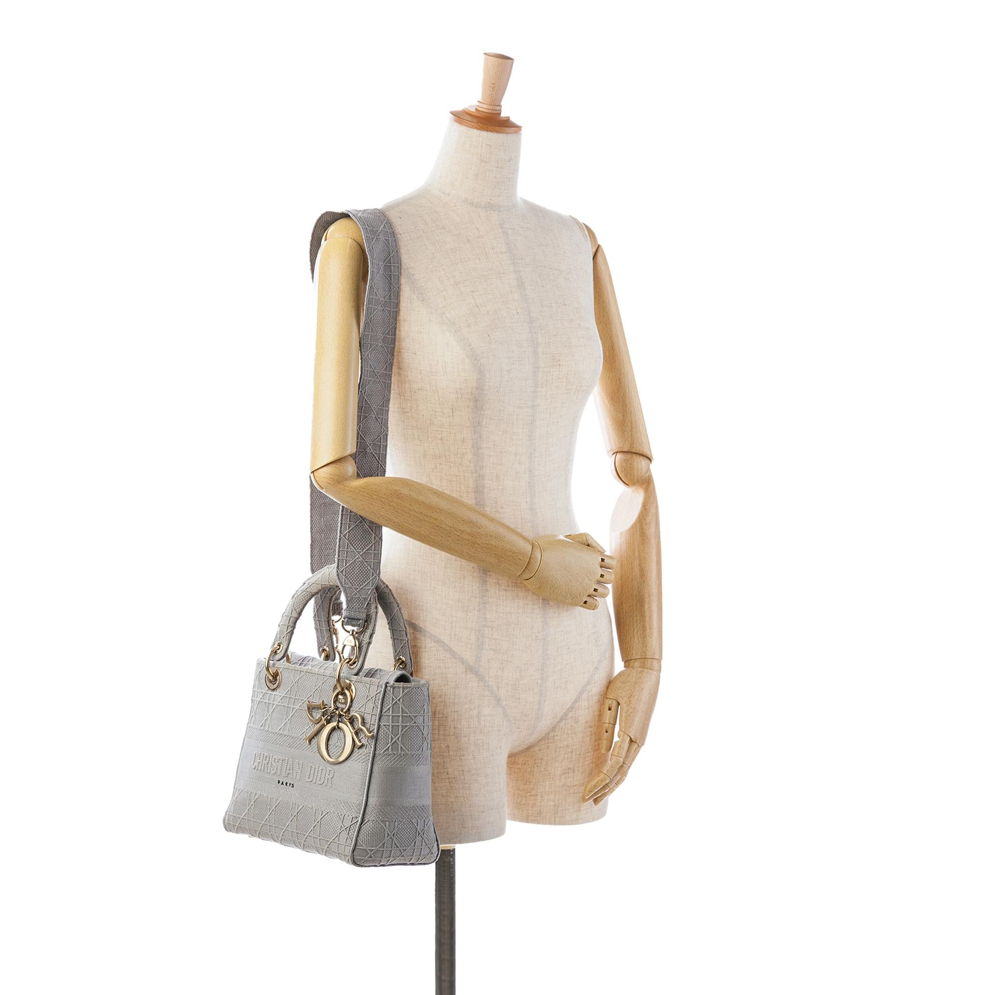 Dior Medium Cannage Lady D-Lite (SHG-VOobNy)