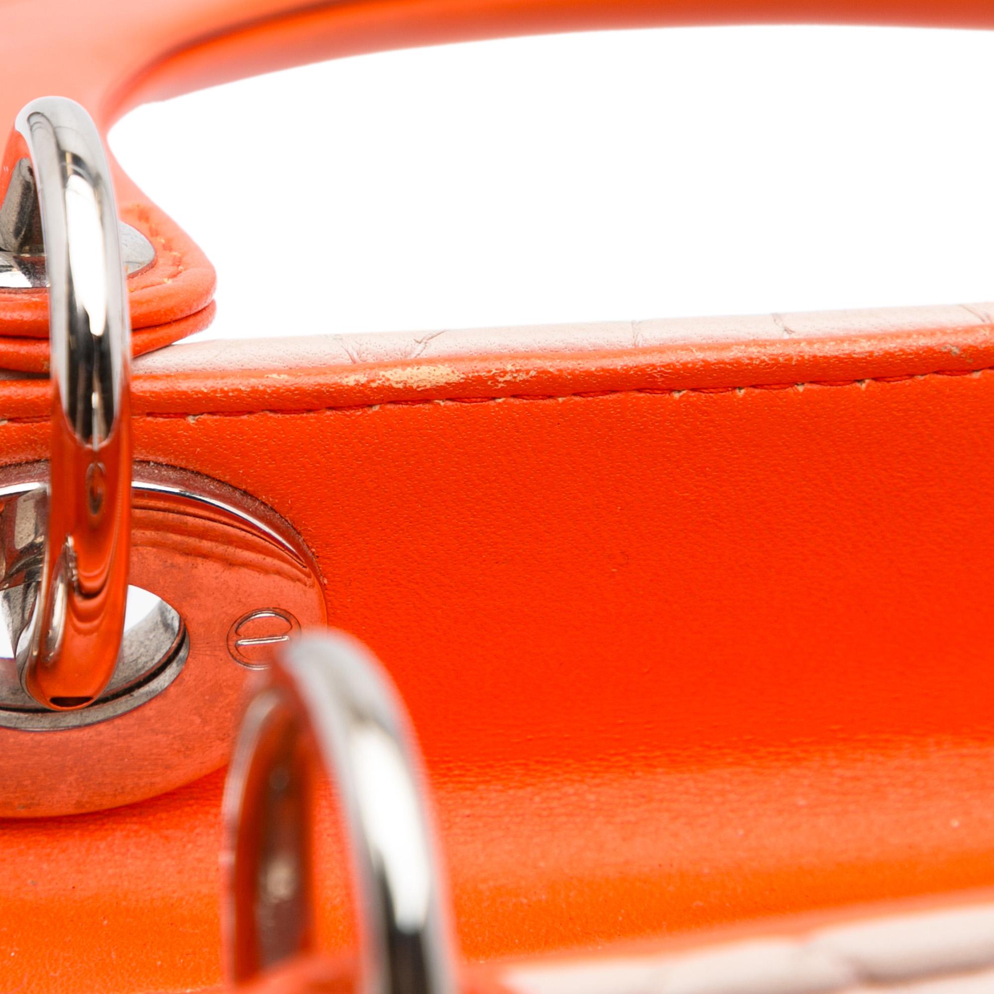 Dior Medium Cannage Lady Dior Tricolor (SHG-e3O6dL)