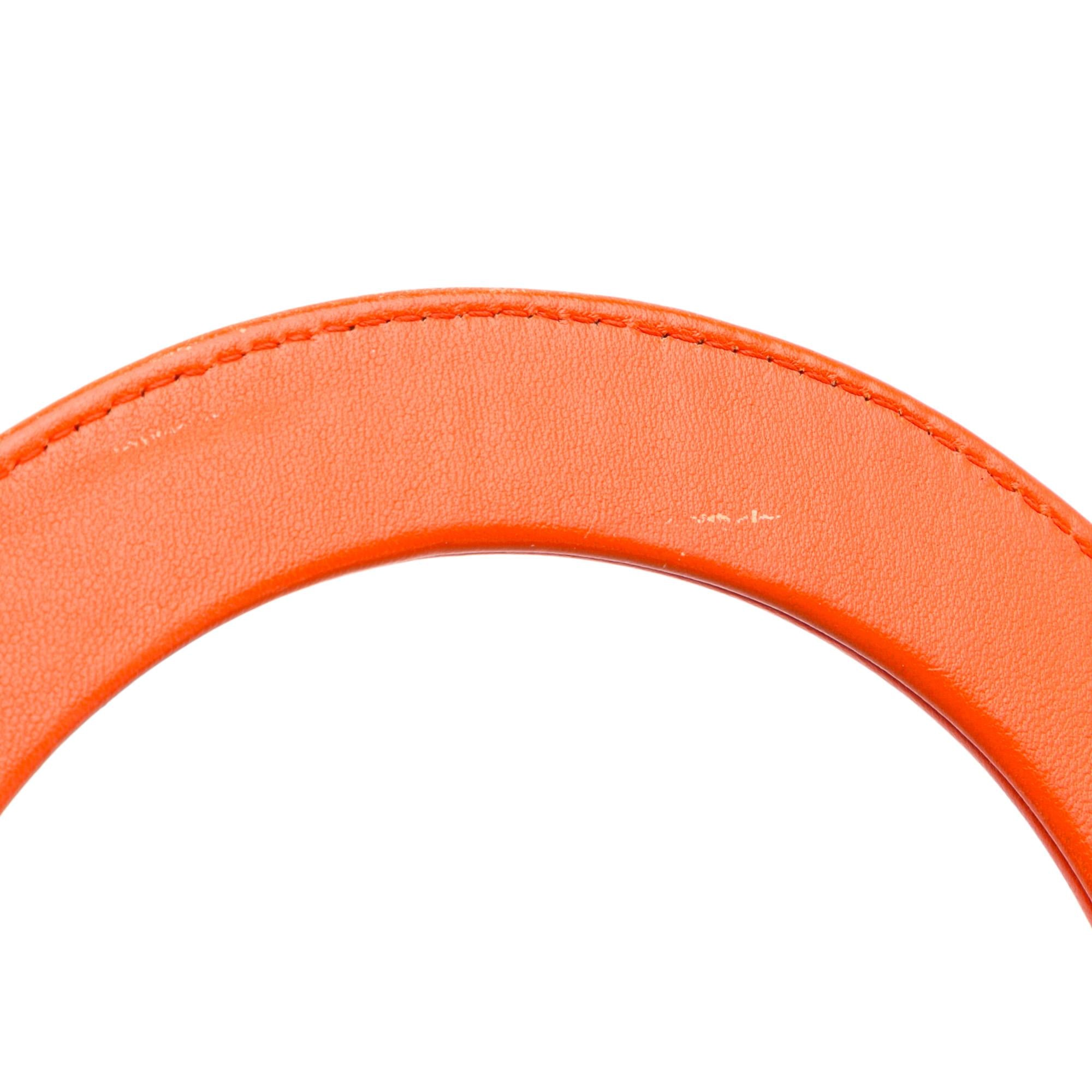 Dior Medium Cannage Lady Dior Tricolor (SHG-e3O6dL)