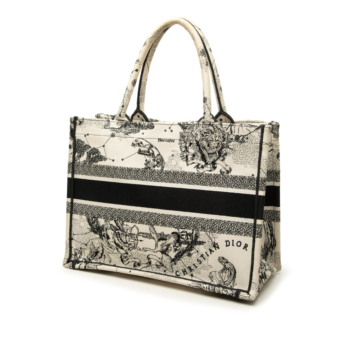 Dior Medium Canvas Embroidered Zodiac Toile De Jouy Book Tote
