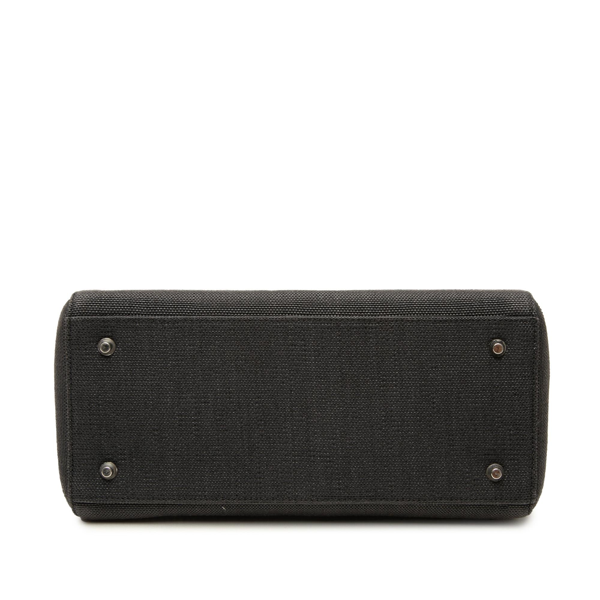 Dior Medium Canvas Lady Dior