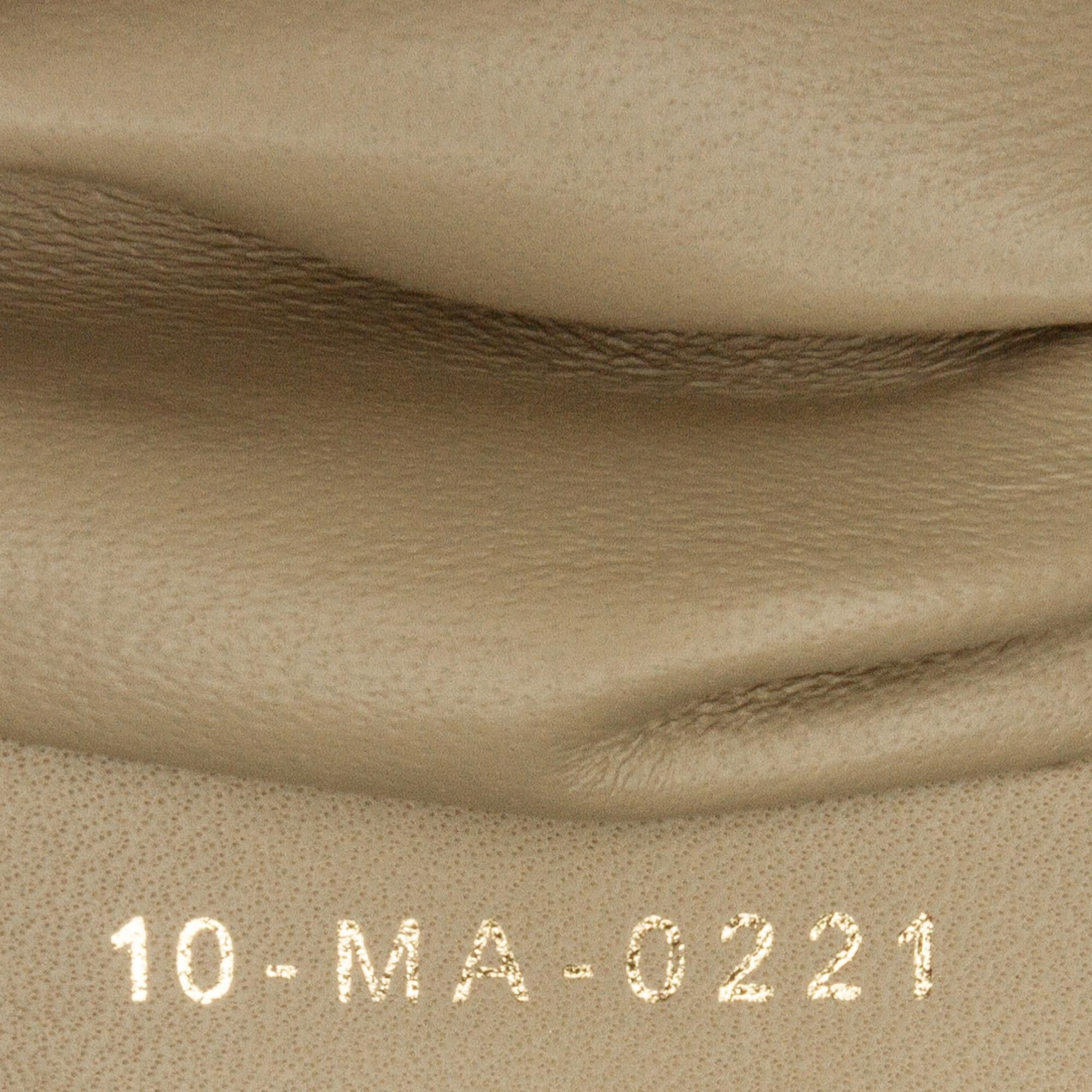 Dior Medium DiorDouble Chain Bag (SHG-hGHQTP)