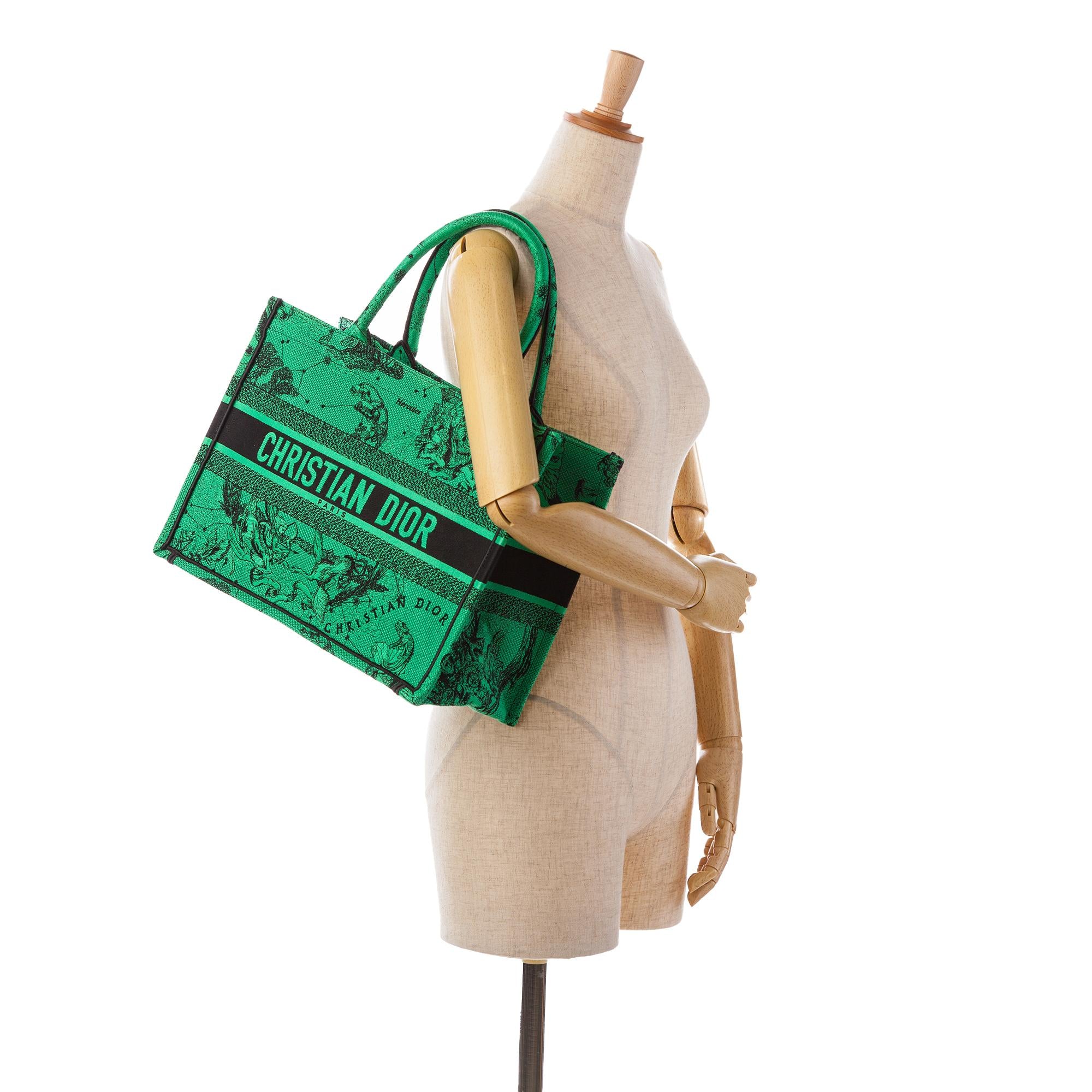 Dior Medium Embroidered Canvas Book Tote (SHG-M0LwBZ)
