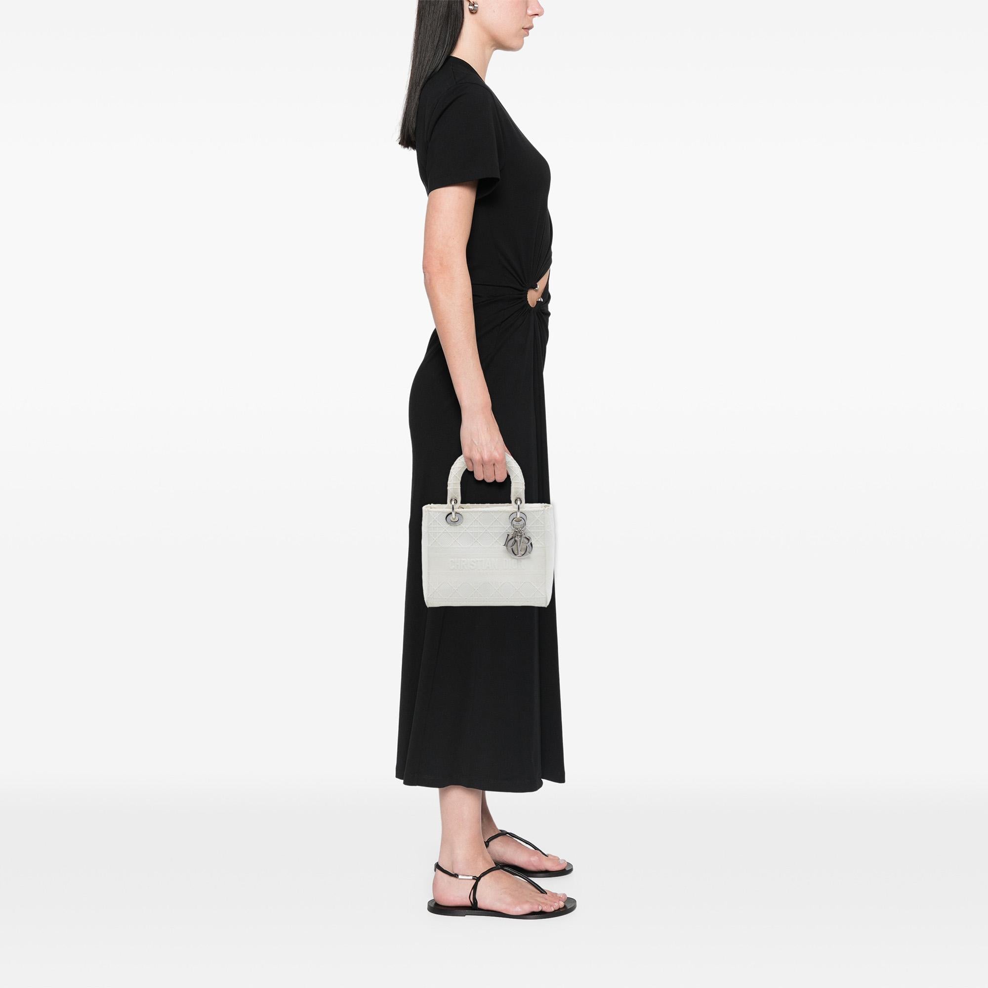 Dior Medium Embroidered Canvas Cannage Lady D Lite