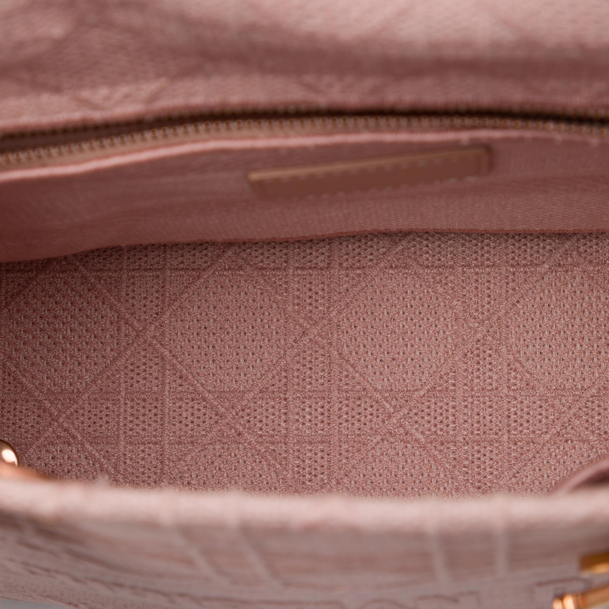 Dior Medium Embroidered Canvas Cannage Lady D Lite