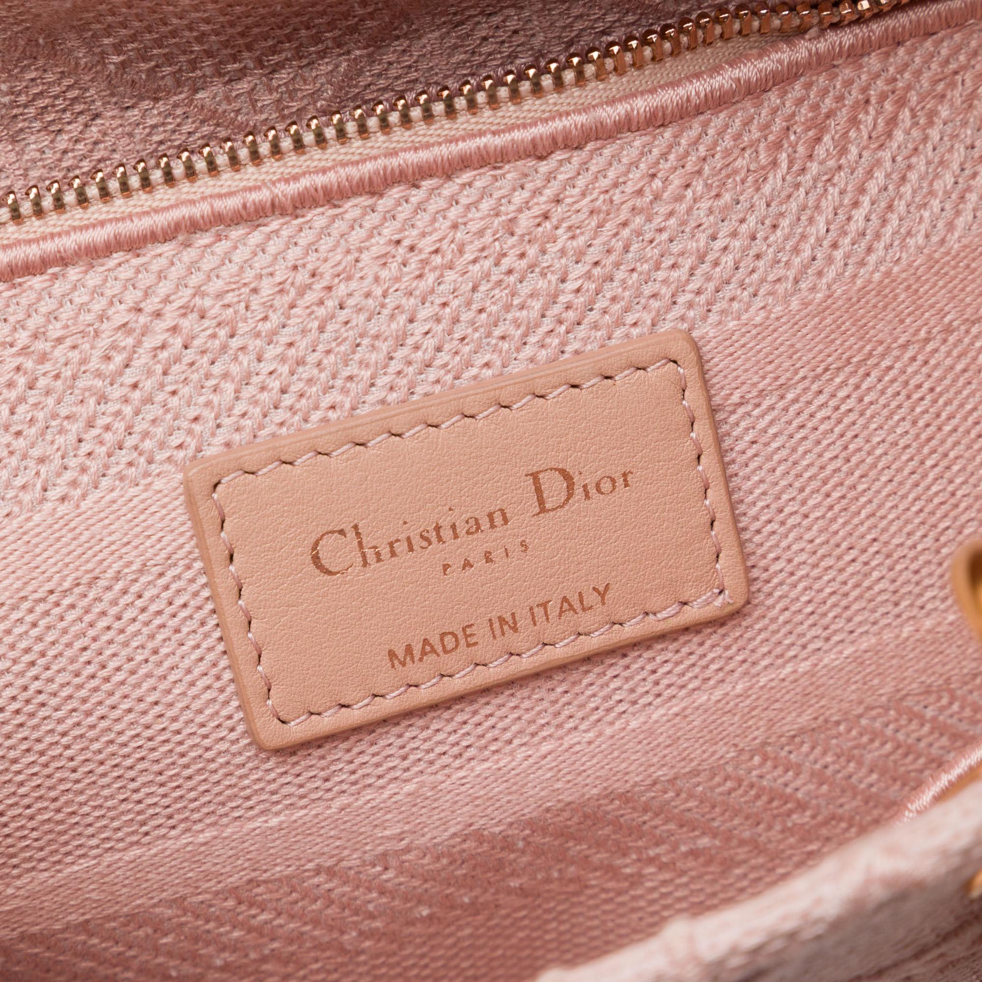 Dior Medium Embroidered Canvas Cannage Lady D Lite