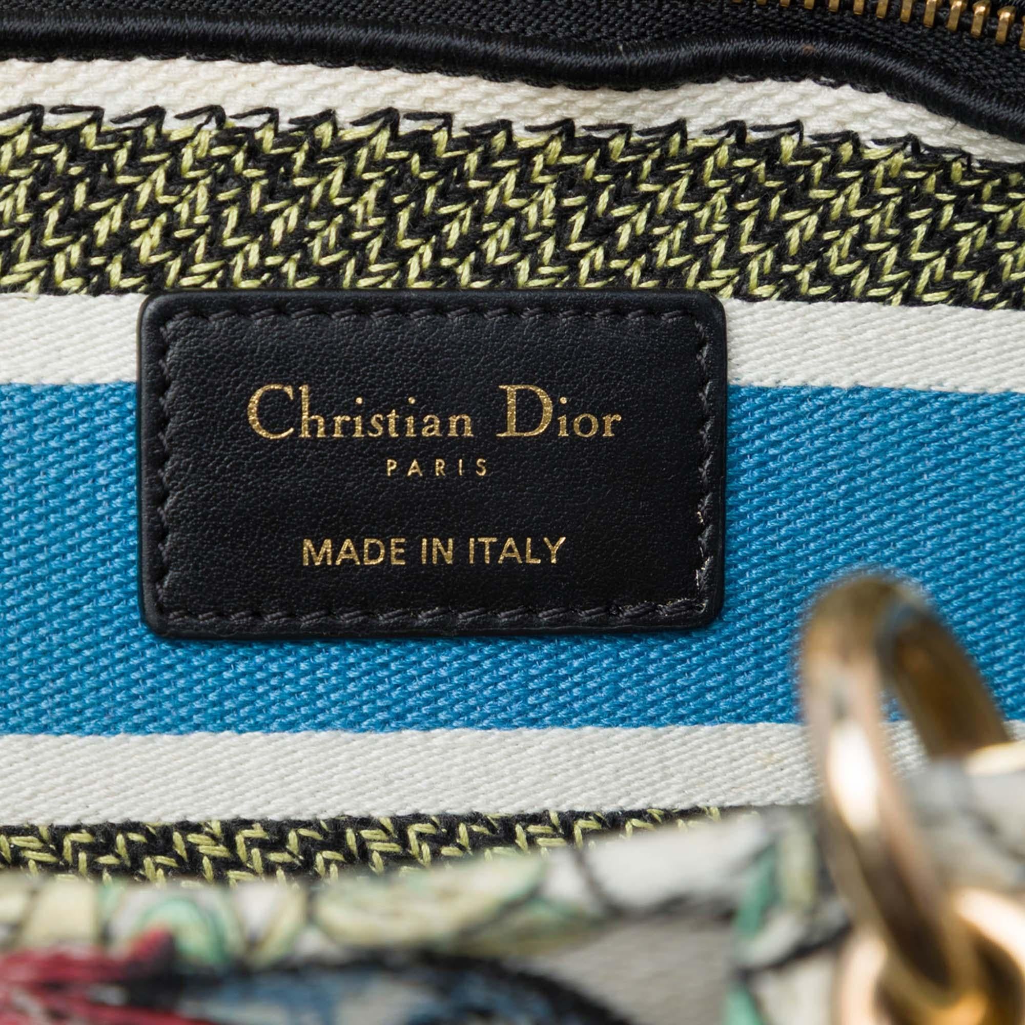 Dior Medium Embroidered Canvas D Constellation Lady D Lite
