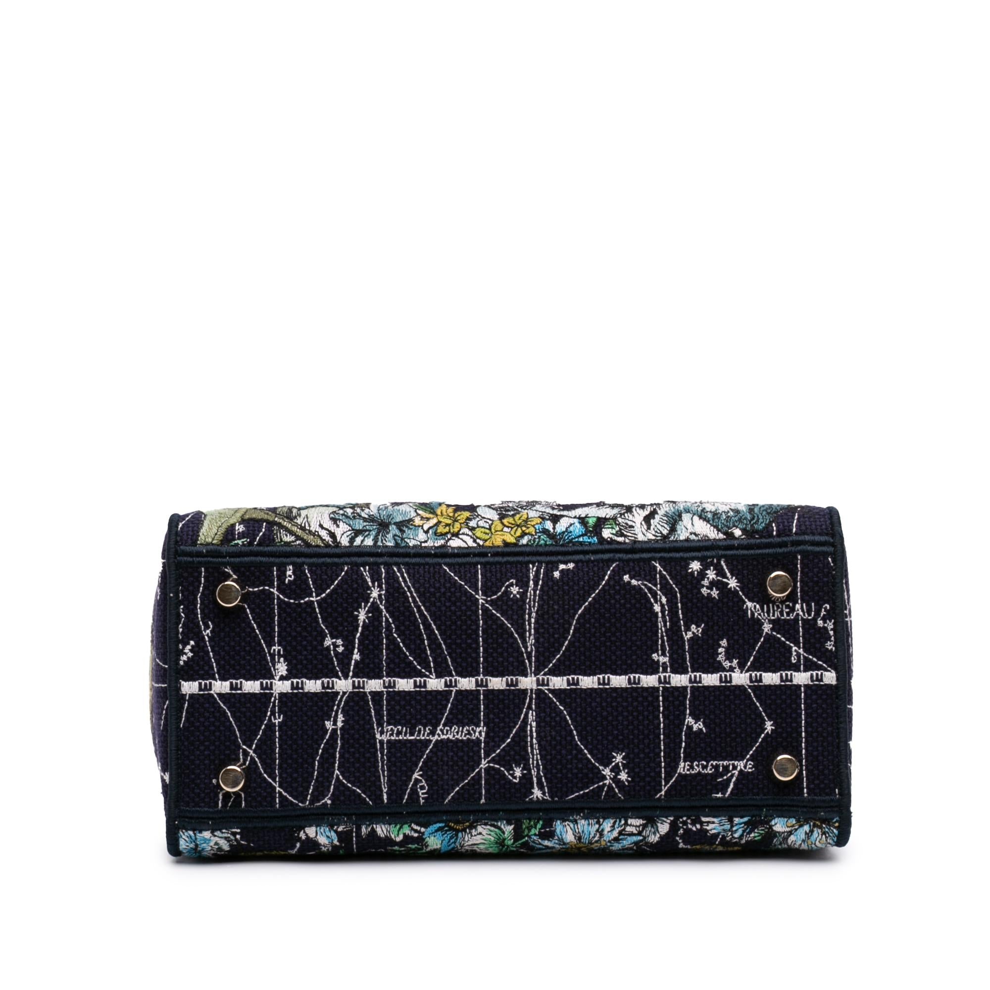 Dior Medium Embroidered Canvas Zodiac Lady D Lite
