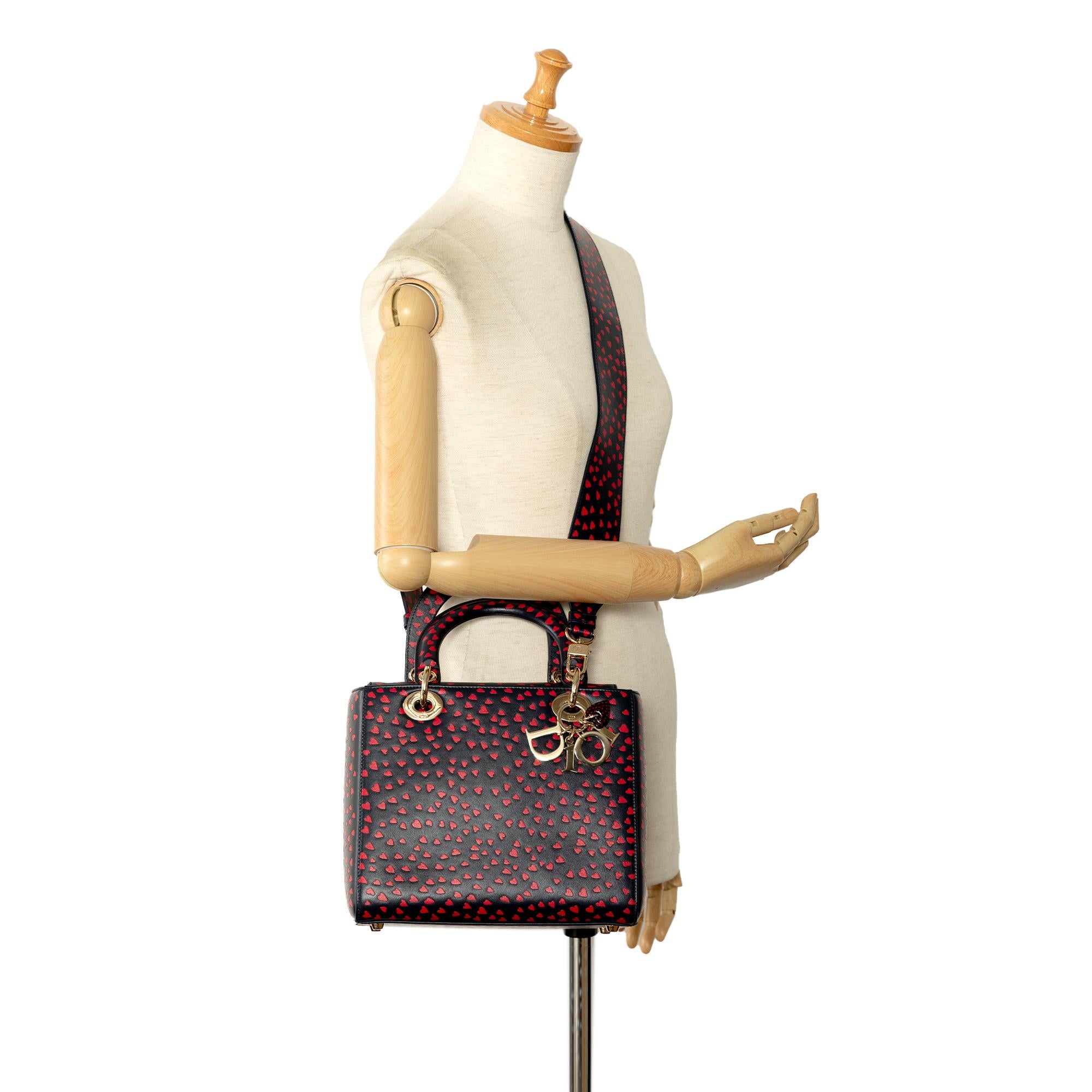 Dior Medium I Love Paris Lady Dior Satchel (SHG-BeTTle)