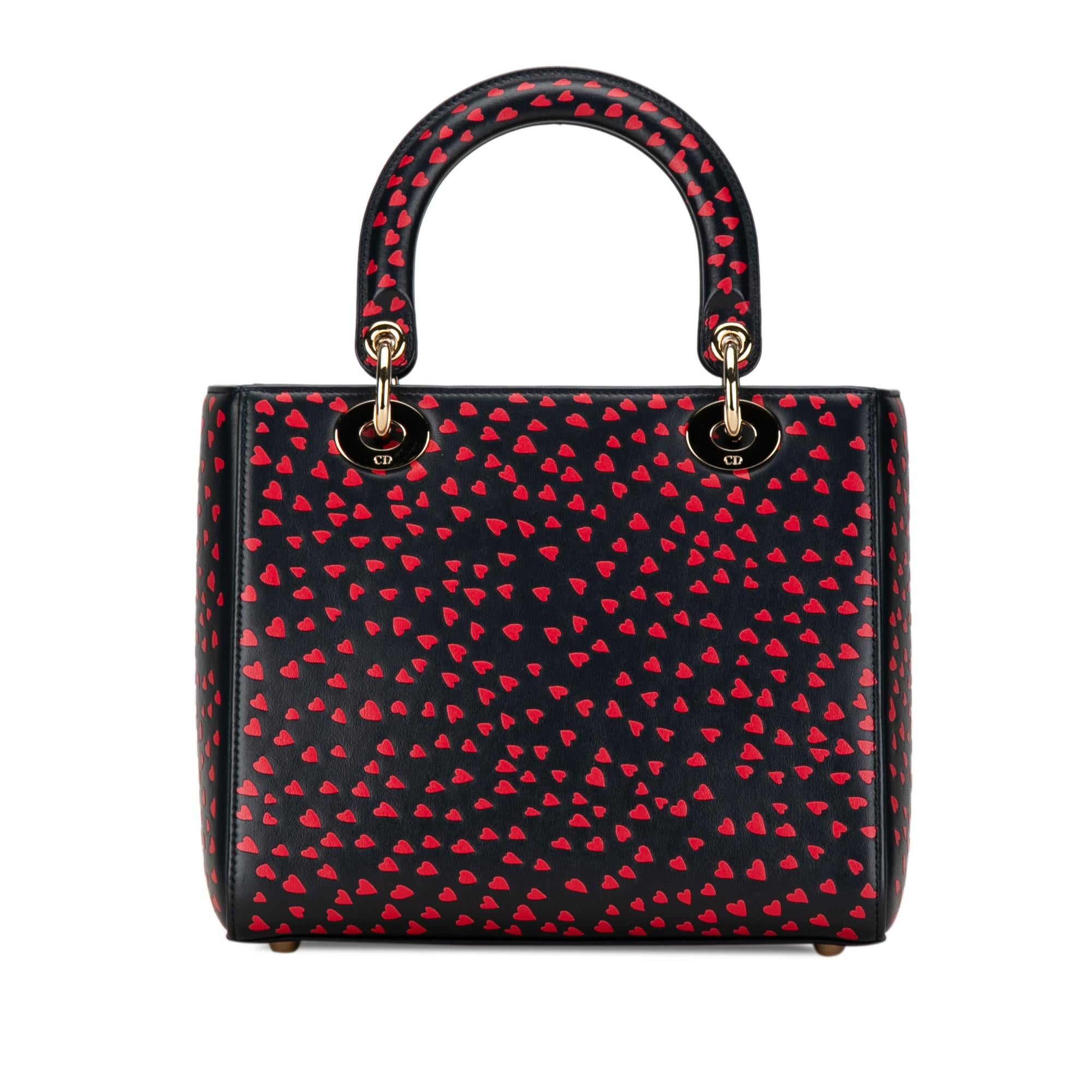 Dior Medium I Love Paris Lady Dior Satchel