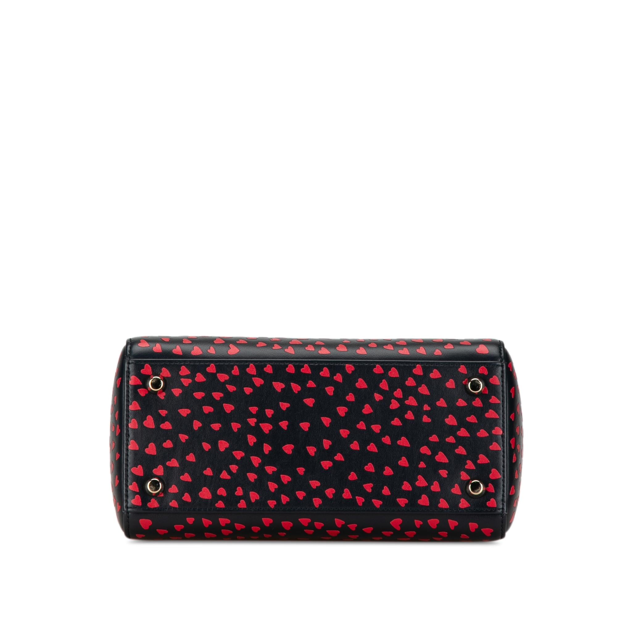 Dior Medium I Love Paris Lady Dior Satchel