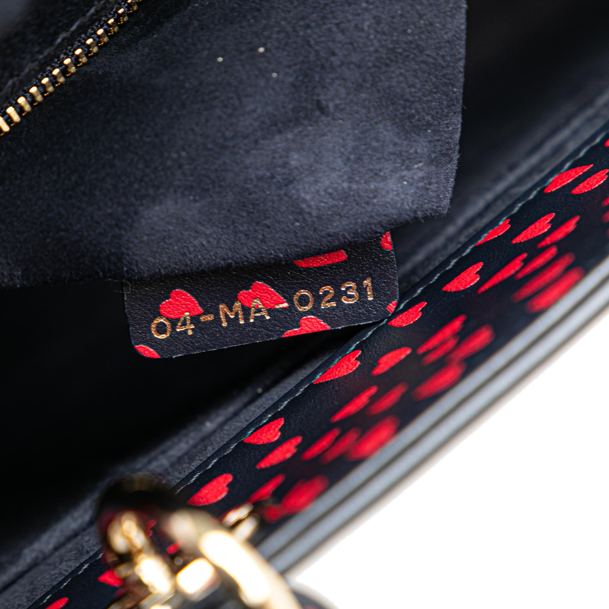 Dior Medium I Love Paris Lady Dior Satchel