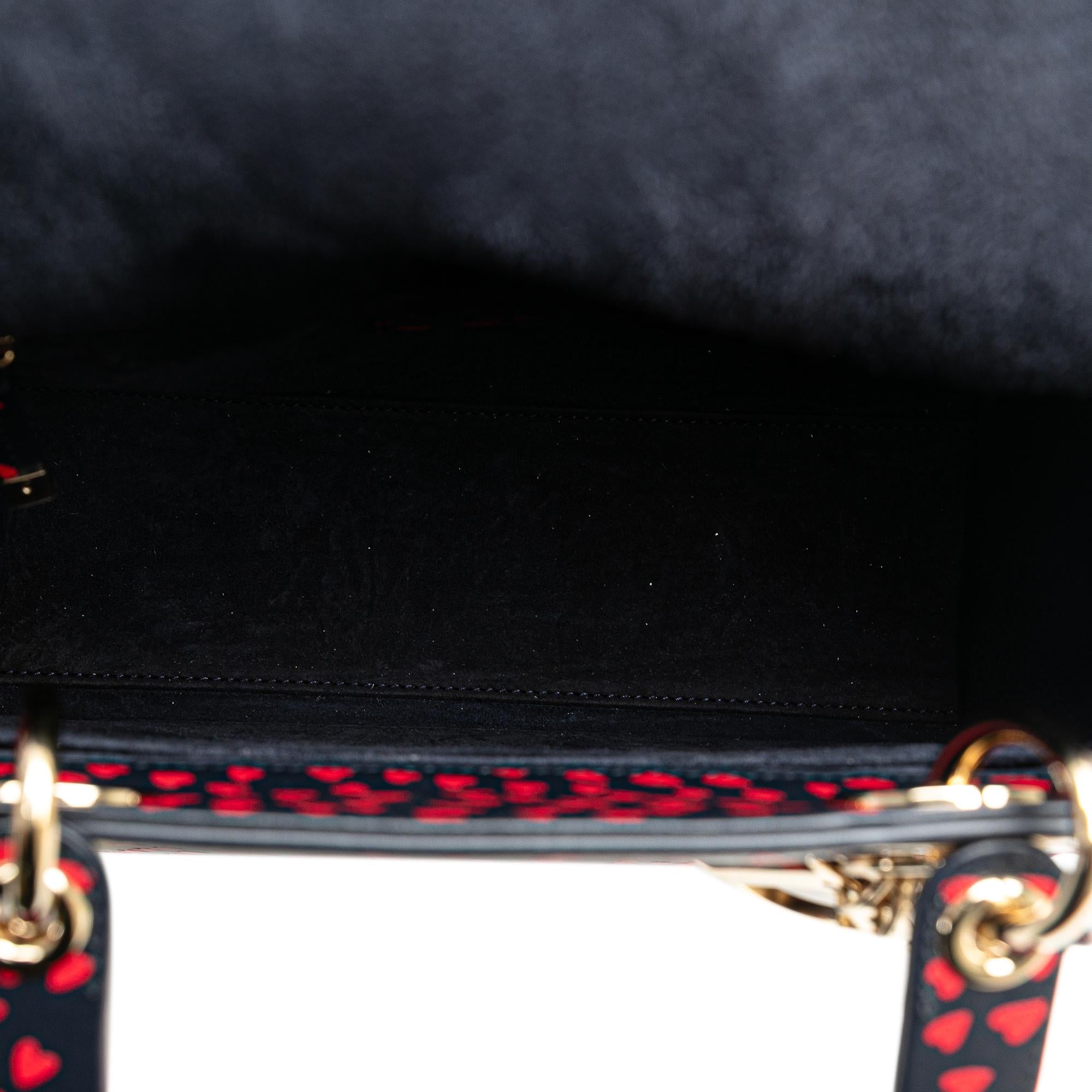 Dior Medium I Love Paris Lady Dior Satchel