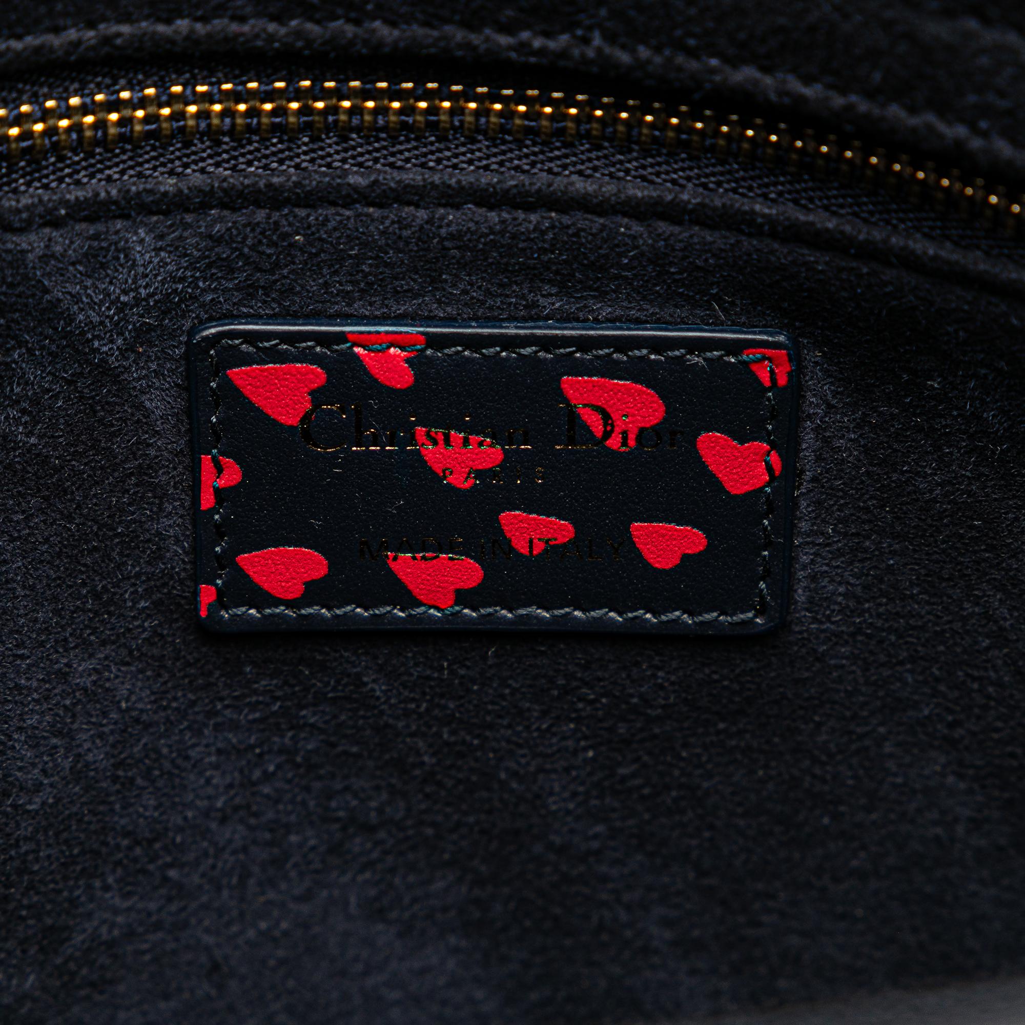 Dior Medium I Love Paris Lady Dior Satchel