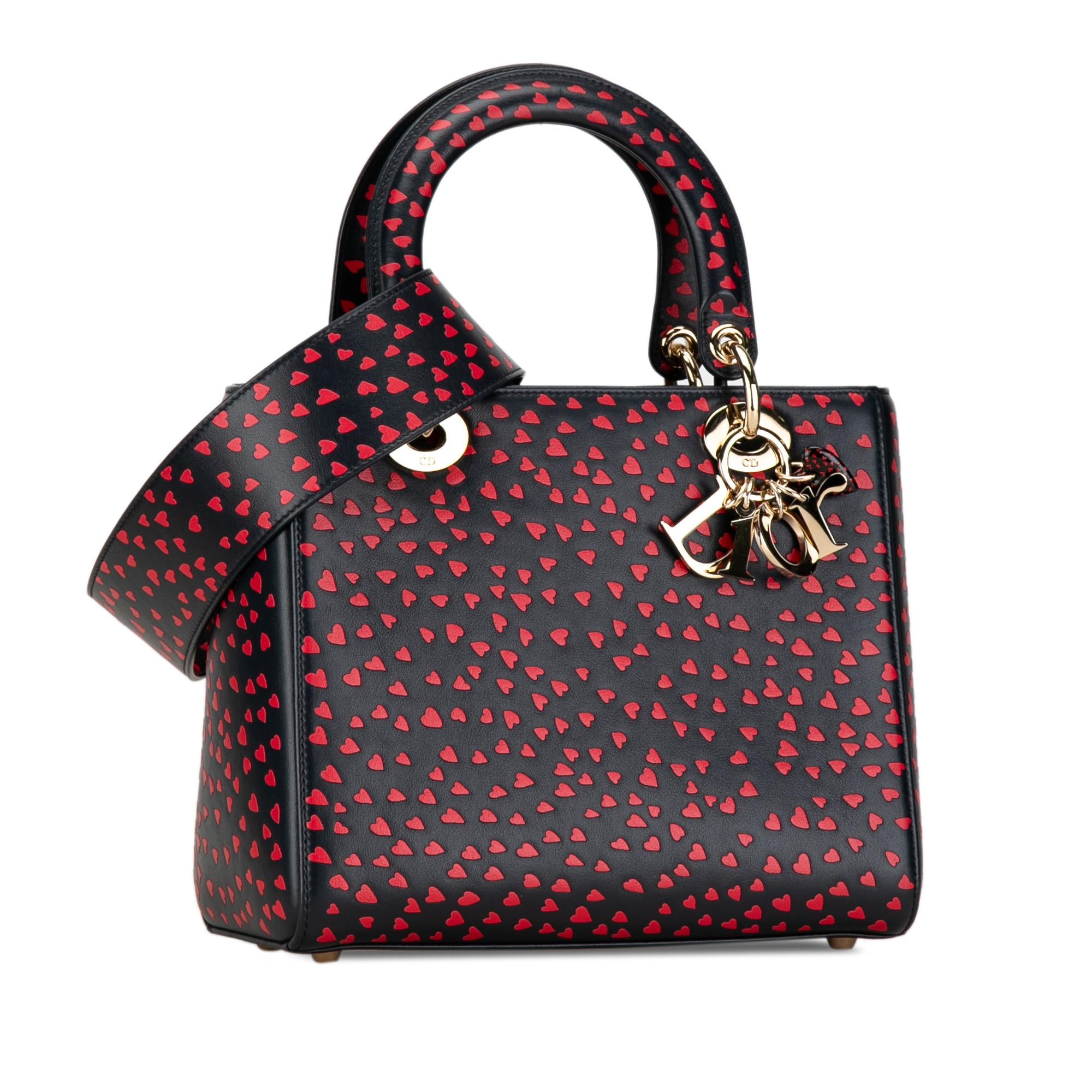 Dior Medium I Love Paris Lady Dior Satchel