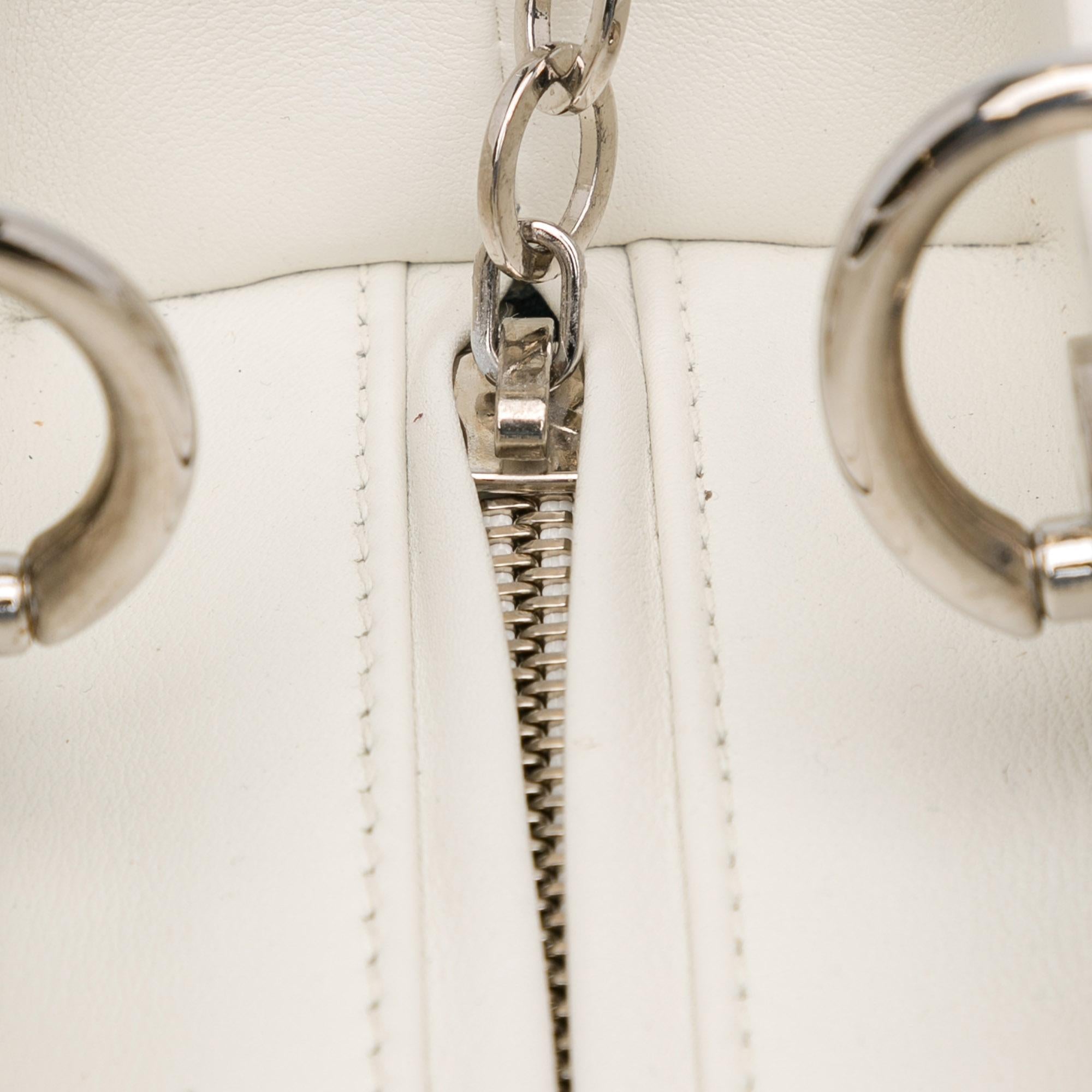 Dior Medium Lambskin Paradise Lady Dior (SHG-fBtOKM)