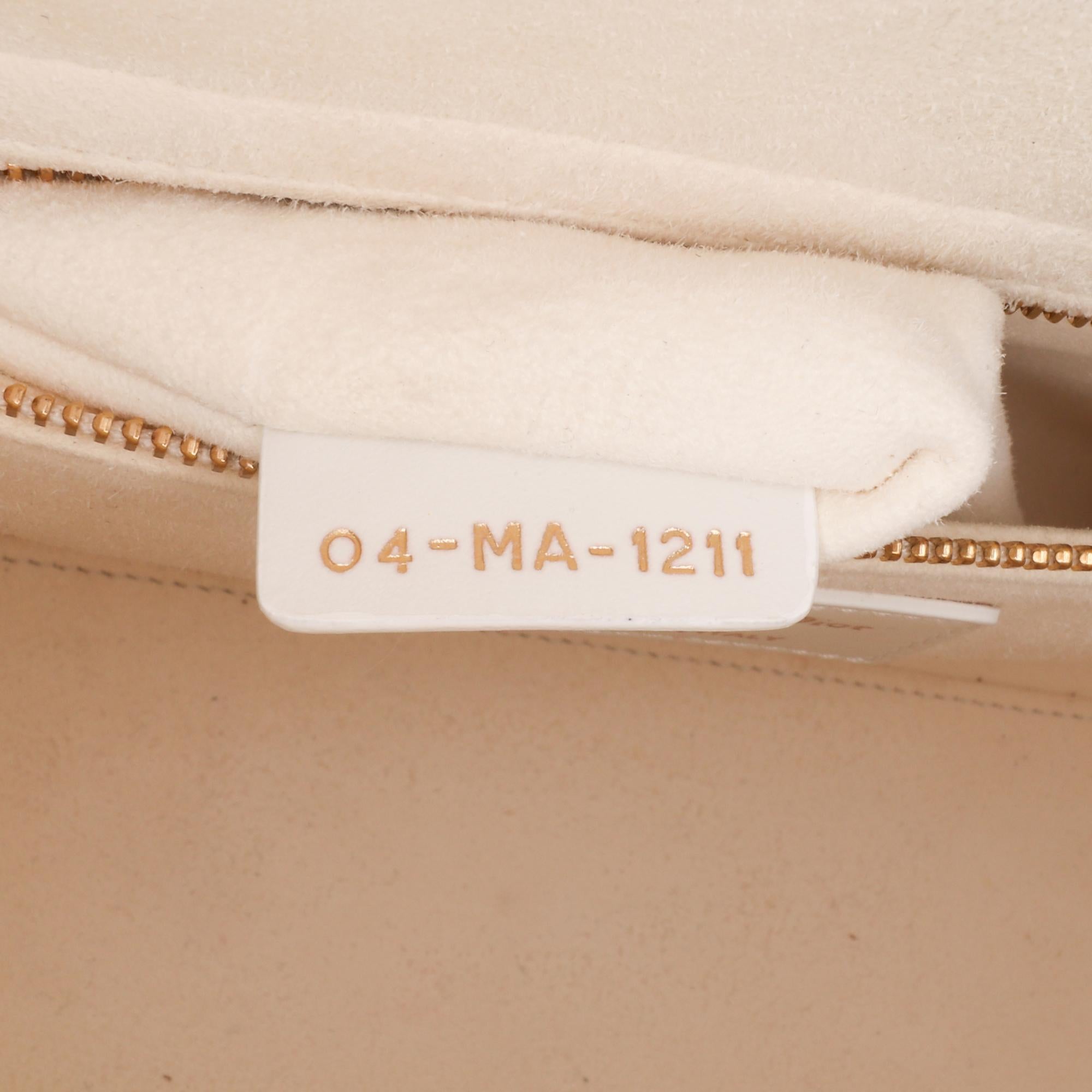 Dior Medium Mesh Cannage Lady Dior