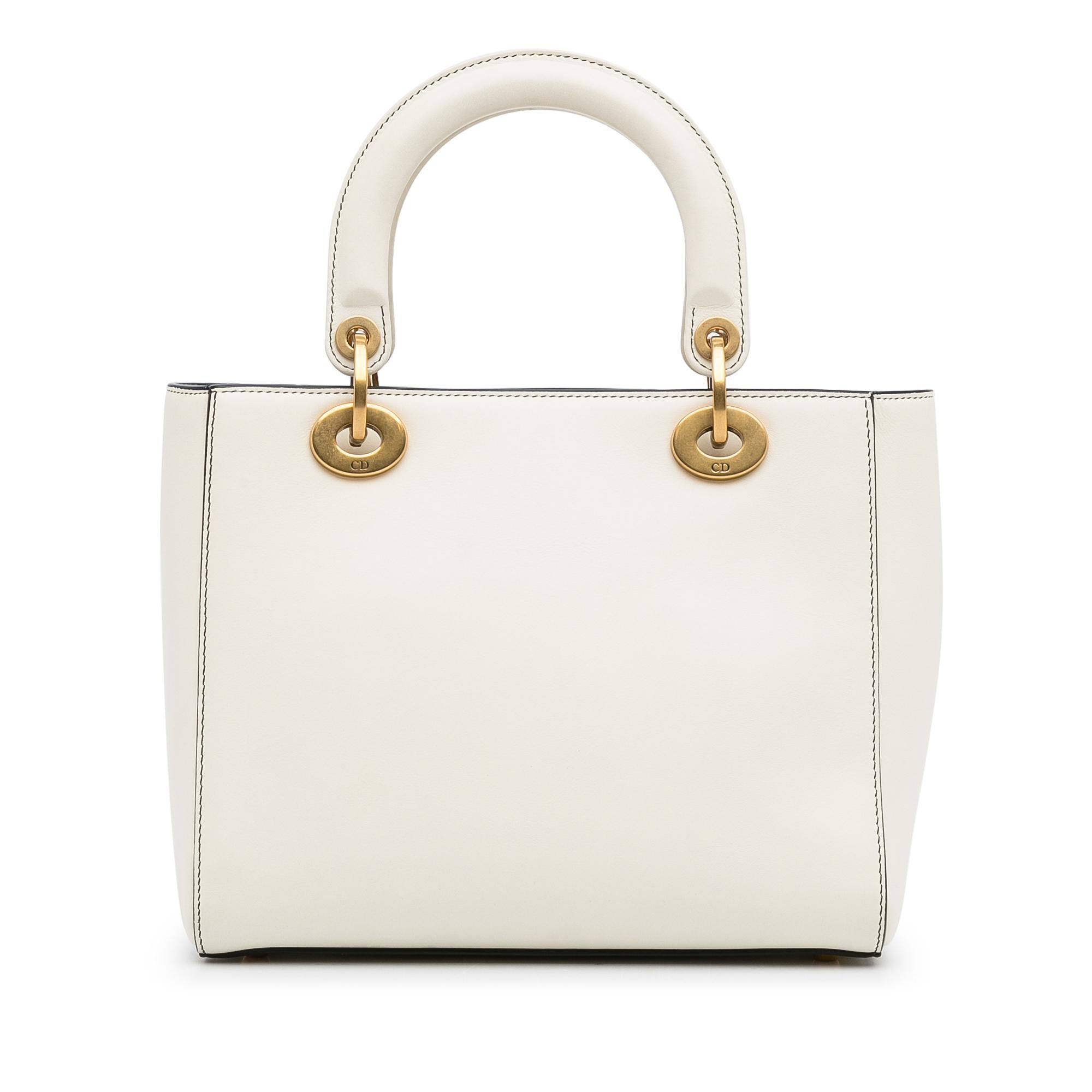 Dior Medium Niki De Saint Phalle Lady Dior (SHG-ZHEI2E)