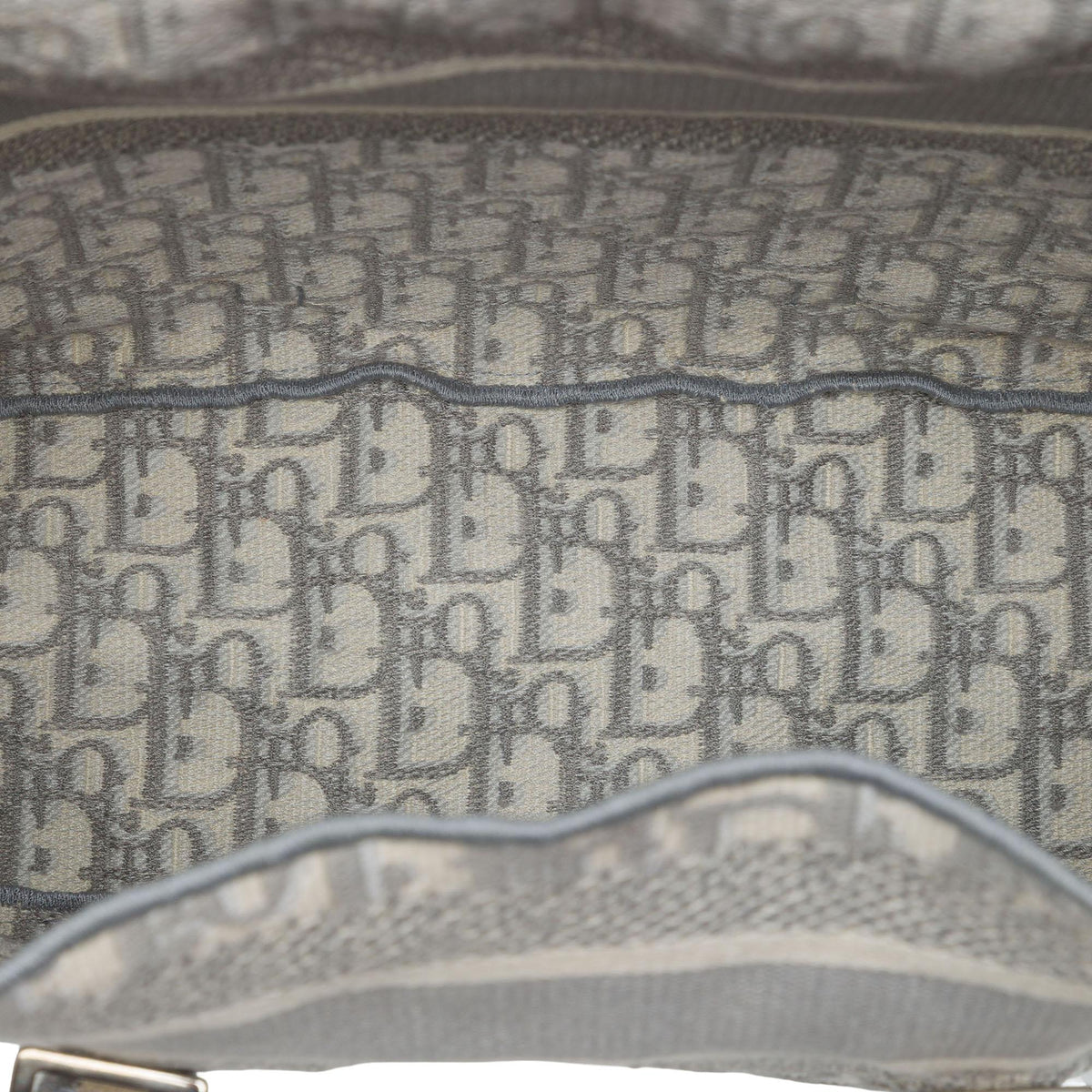 Dior Medium Oblique Canvas Diorcamp Bag