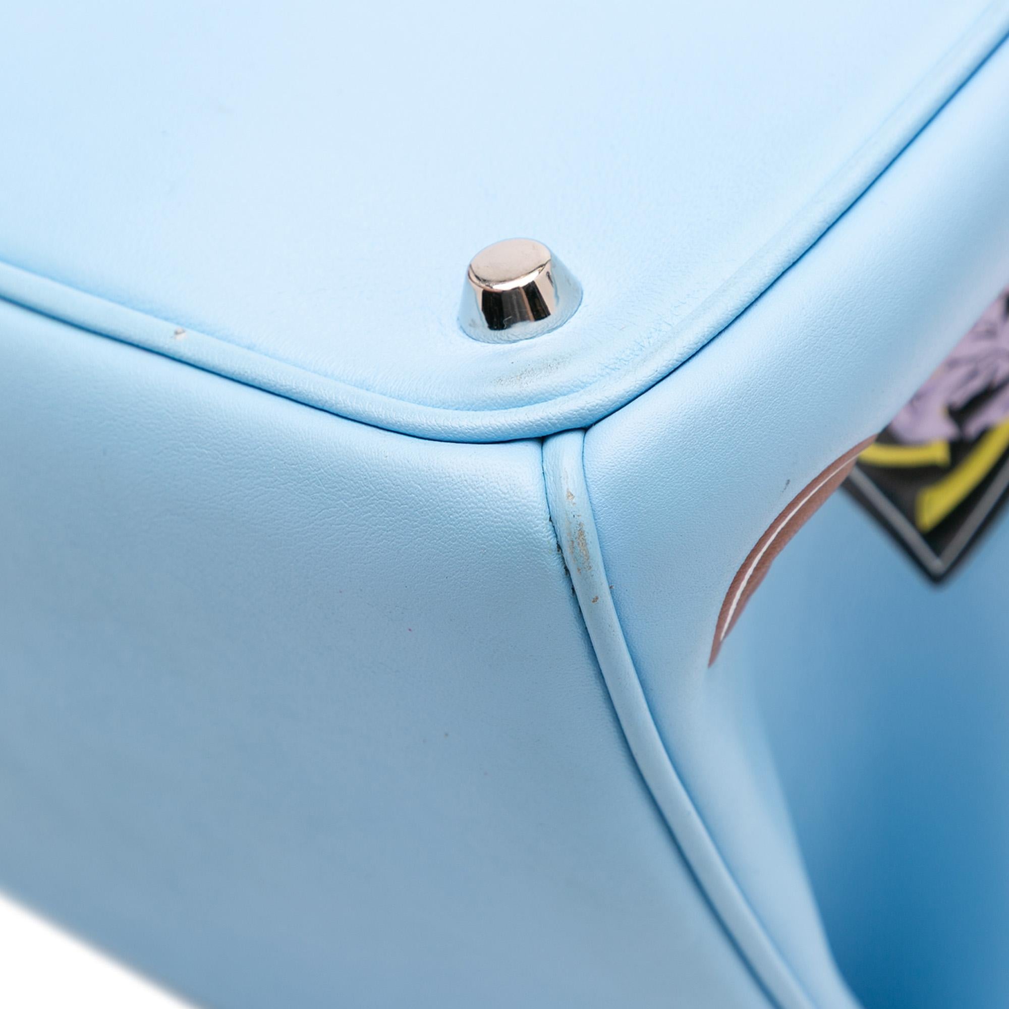Dior Medium Smooth Calfskin Paradise Diorissimo Satchel
