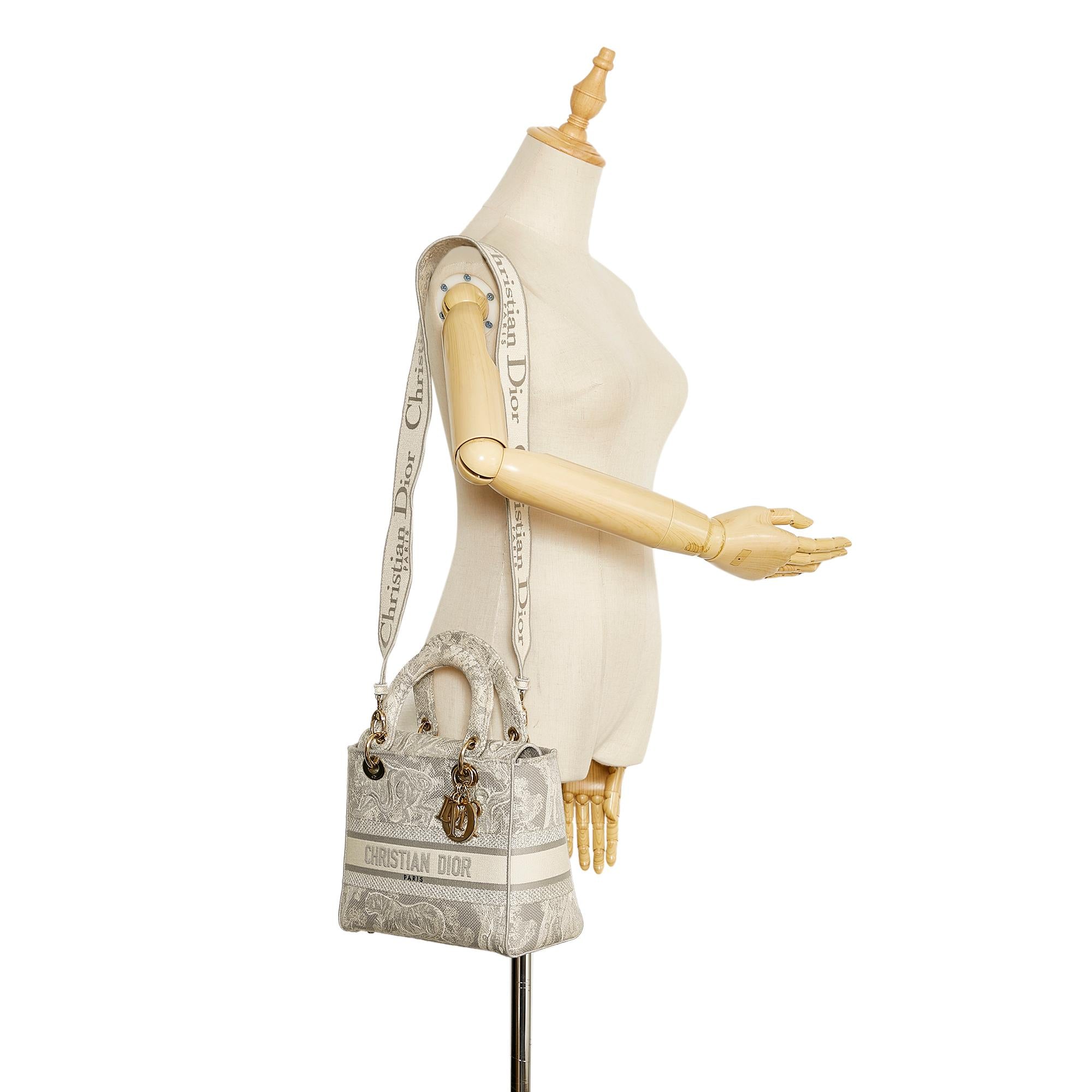 Dior Medium Toile de Jouy Lady D-Lite (SHG-QLSZrh)