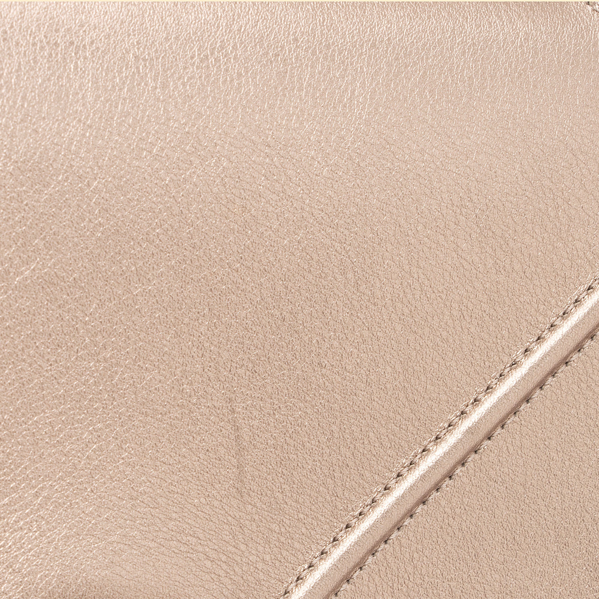 Dior Metallic Calfskin Diorama Medium Shoulder Bag