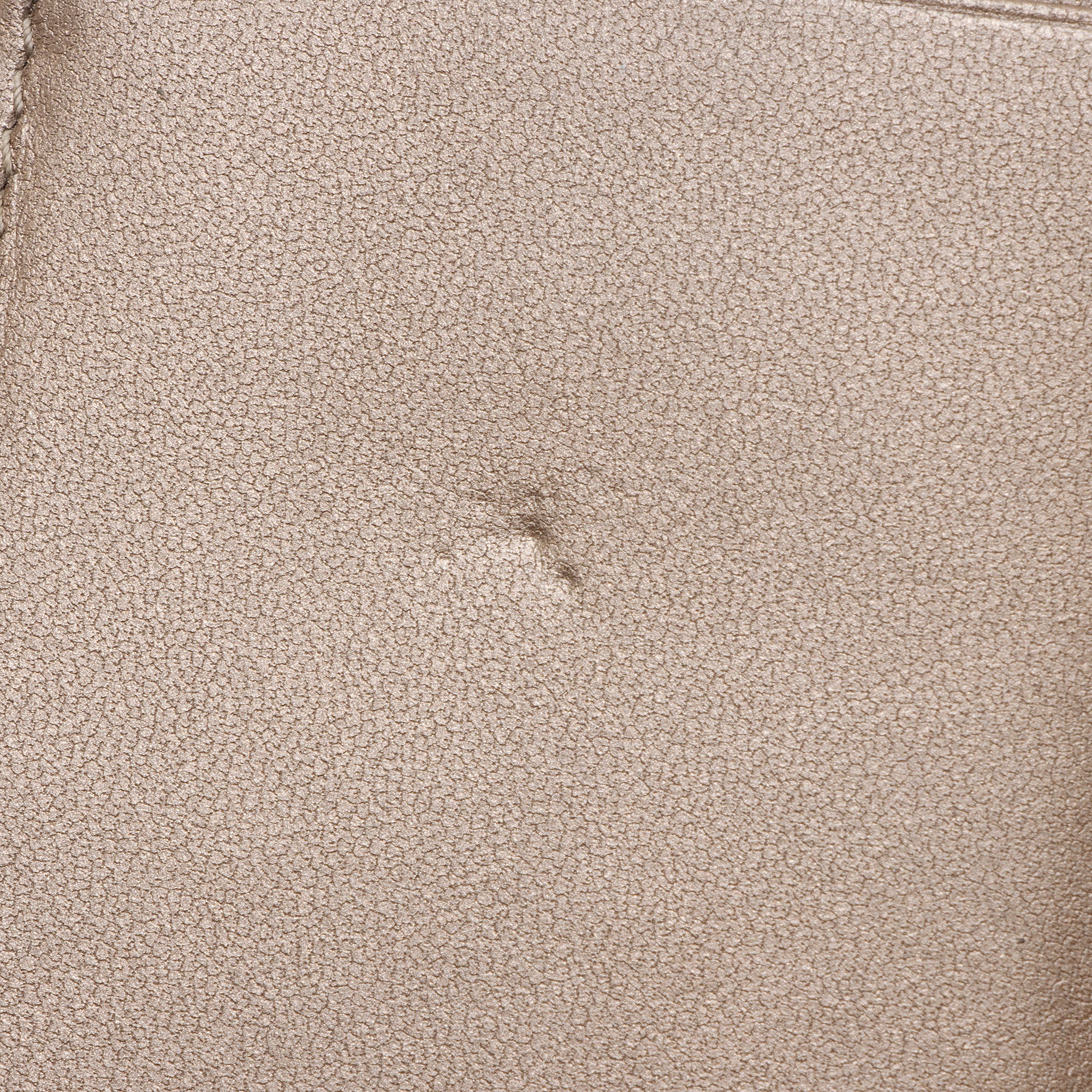 Dior Metallic Calfskin Lady Dior Lotus Wallet