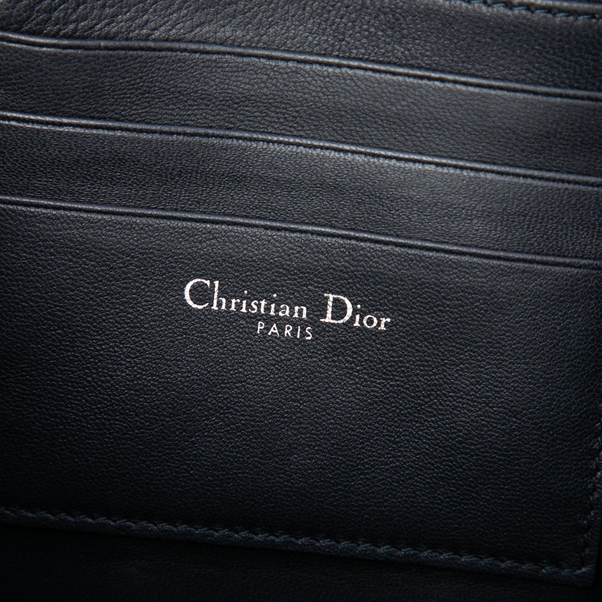 Dior Metallic Leather Shadow Soft Pouch on Chain