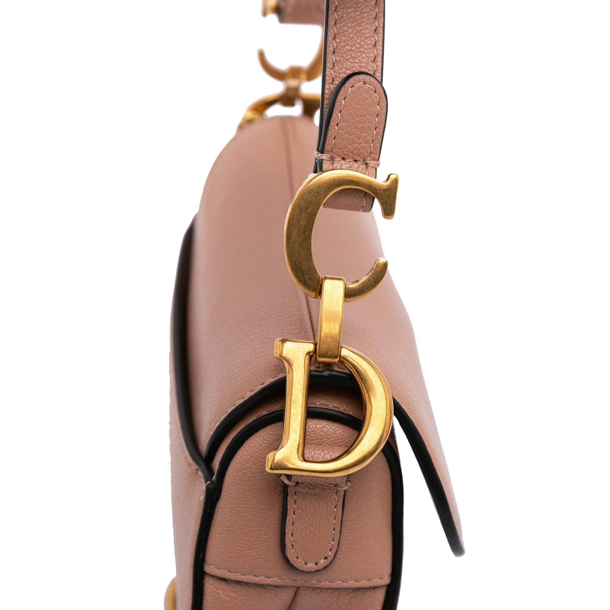 Dior Micro Goatskin Saddle