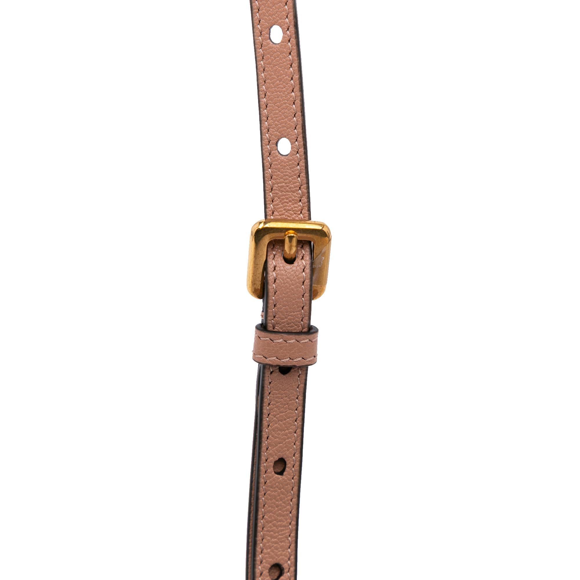 Dior Micro Goatskin Saddle