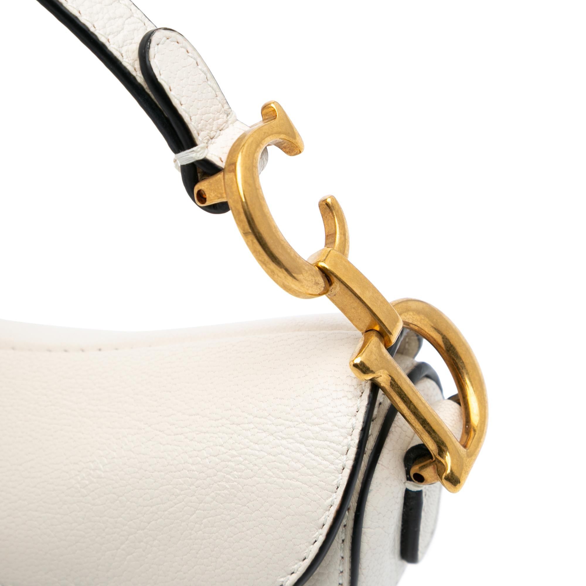 Dior Micro Goatskin Saddle