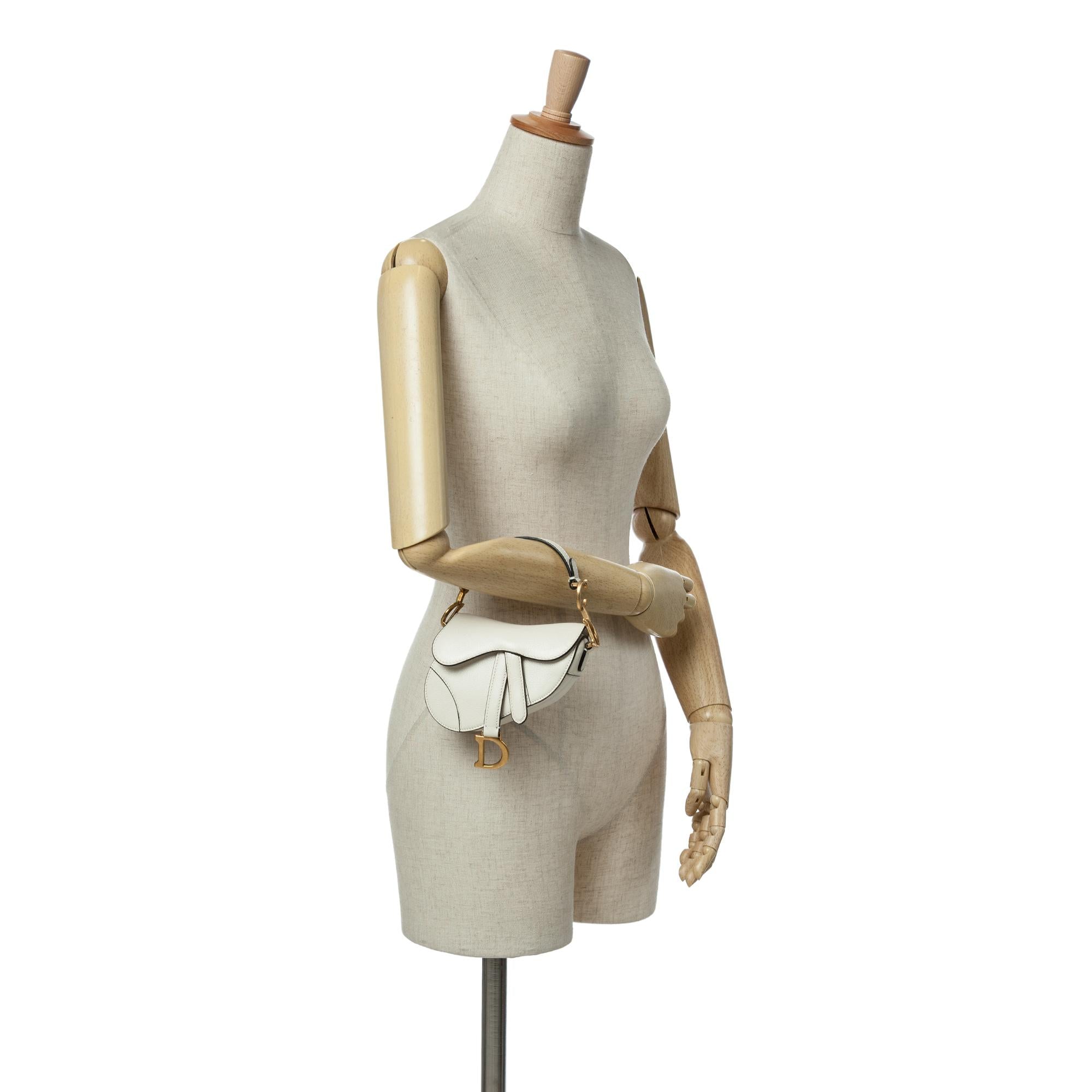 Dior Micro Goatskin Saddle