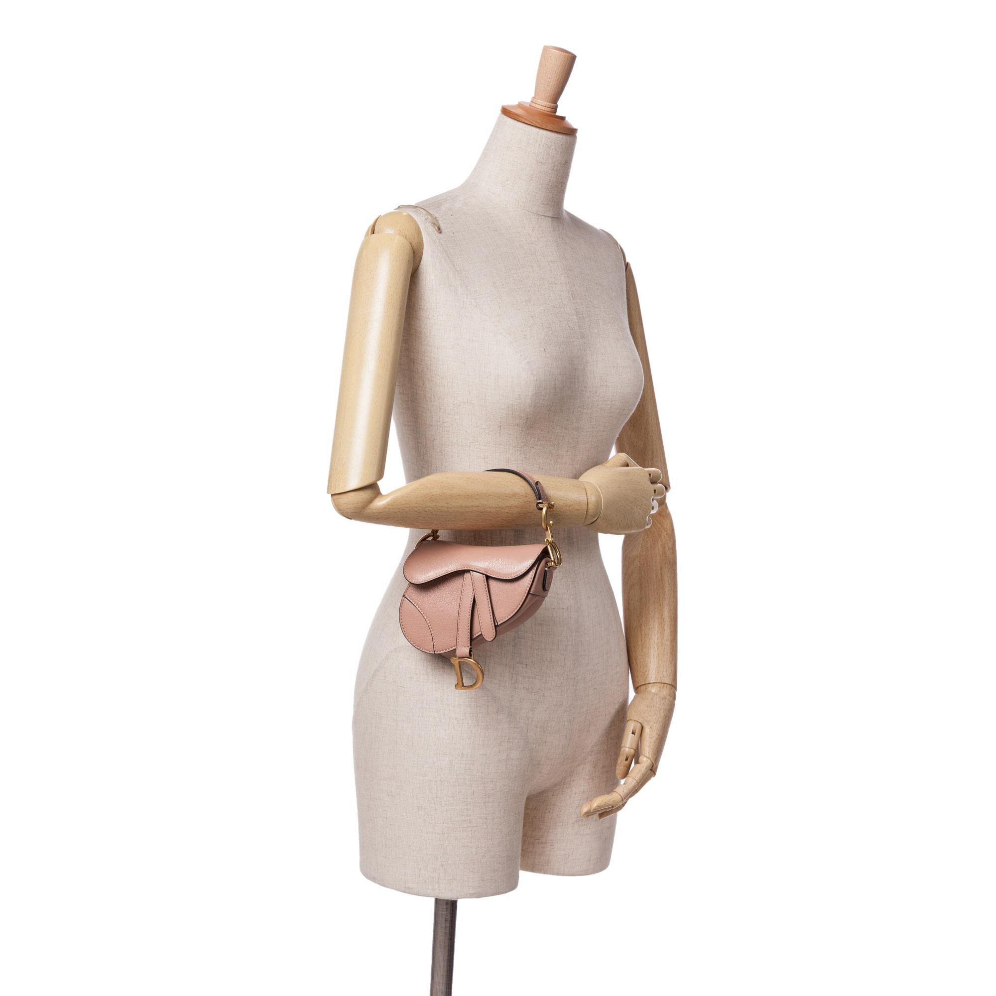 Dior Micro Goatskin Saddle