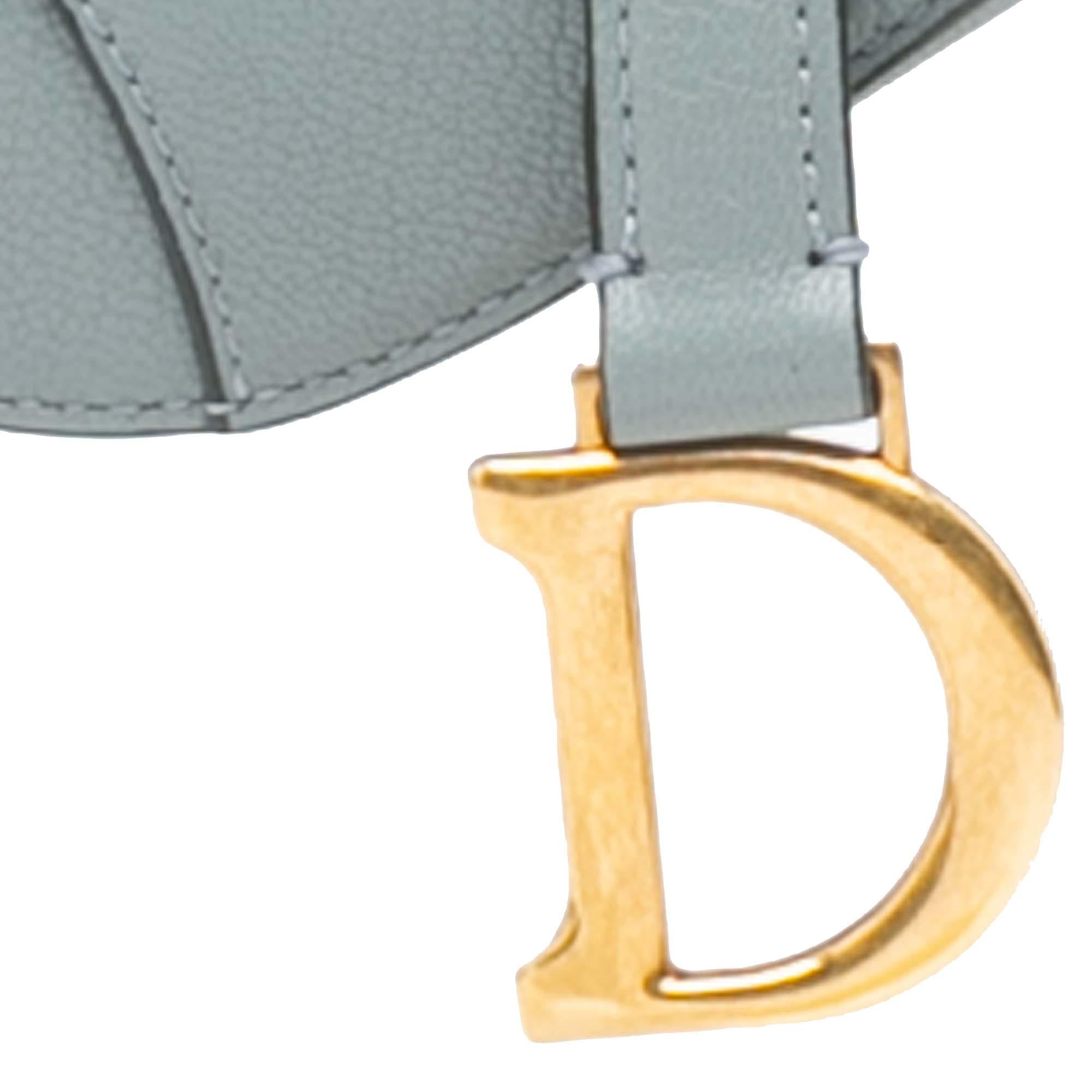 Dior Micro Leather Saddle
