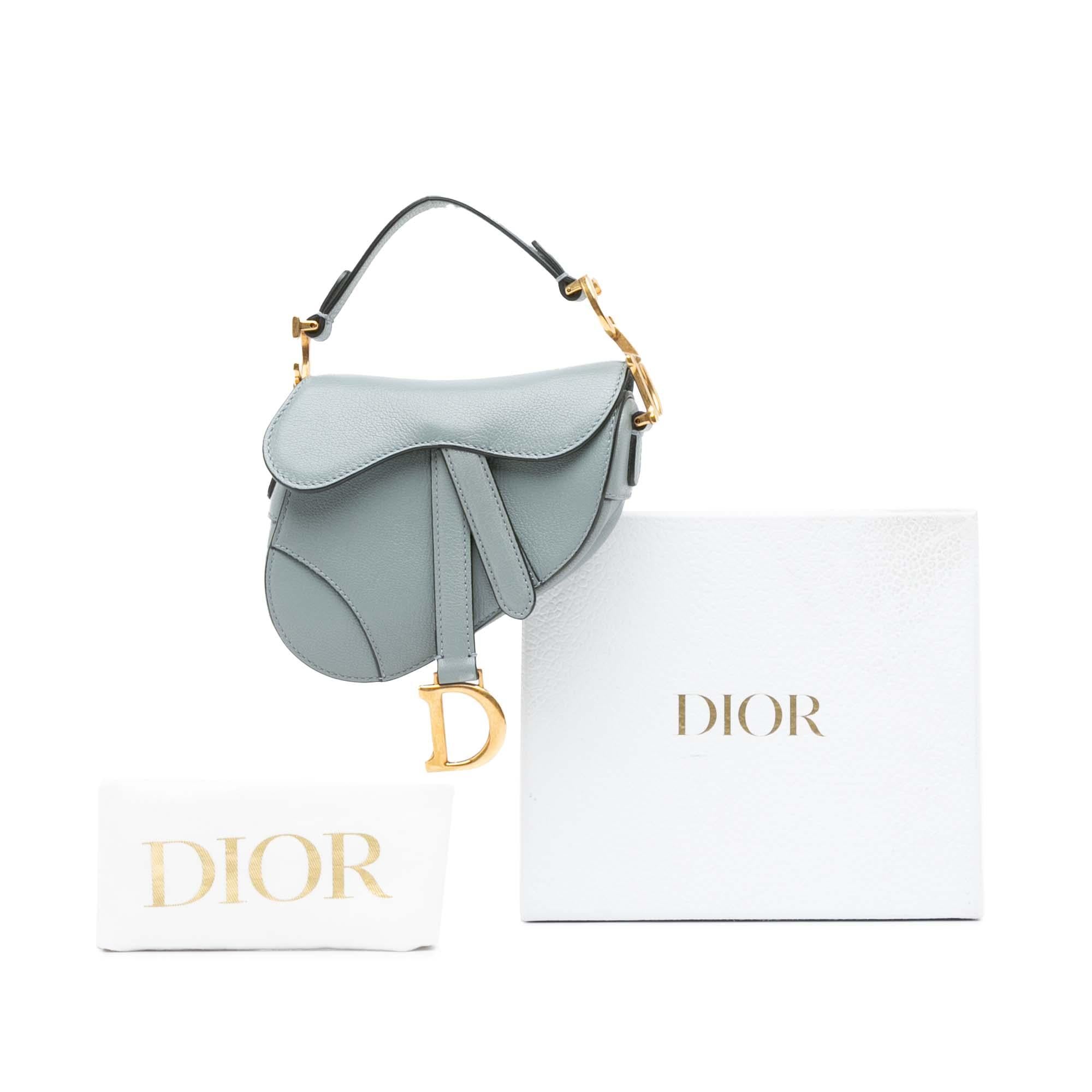 Dior Micro Leather Saddle