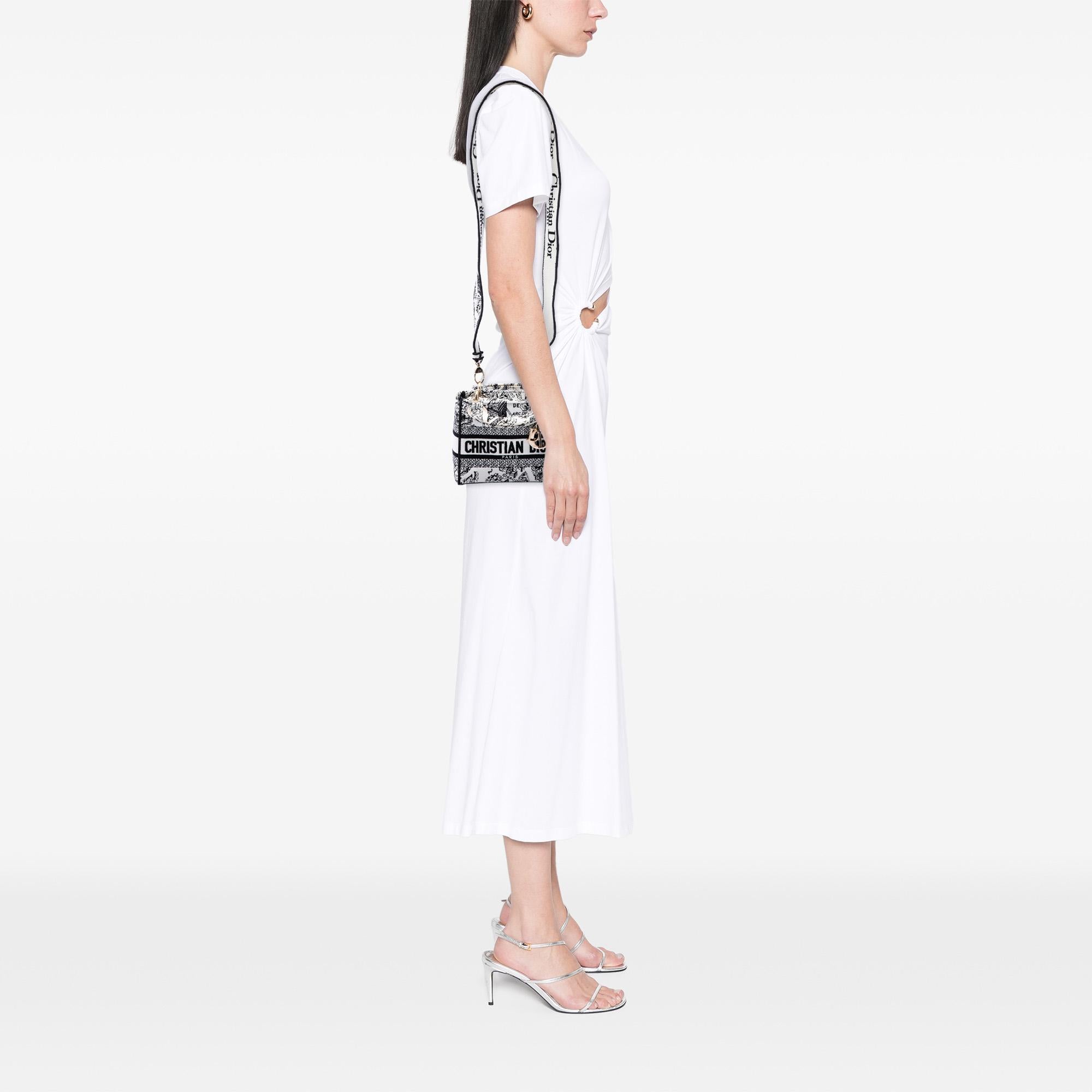 Dior Mini Embroidered Canvas Plan de Paris Lady D Lite